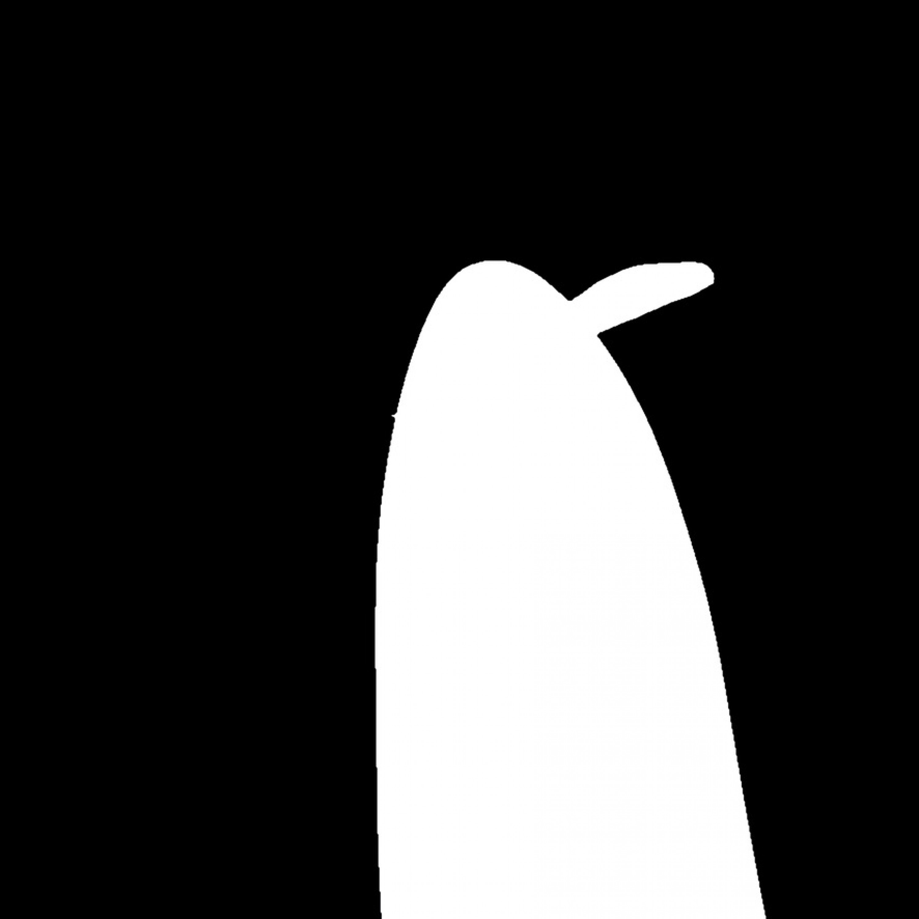 ジャケット写真