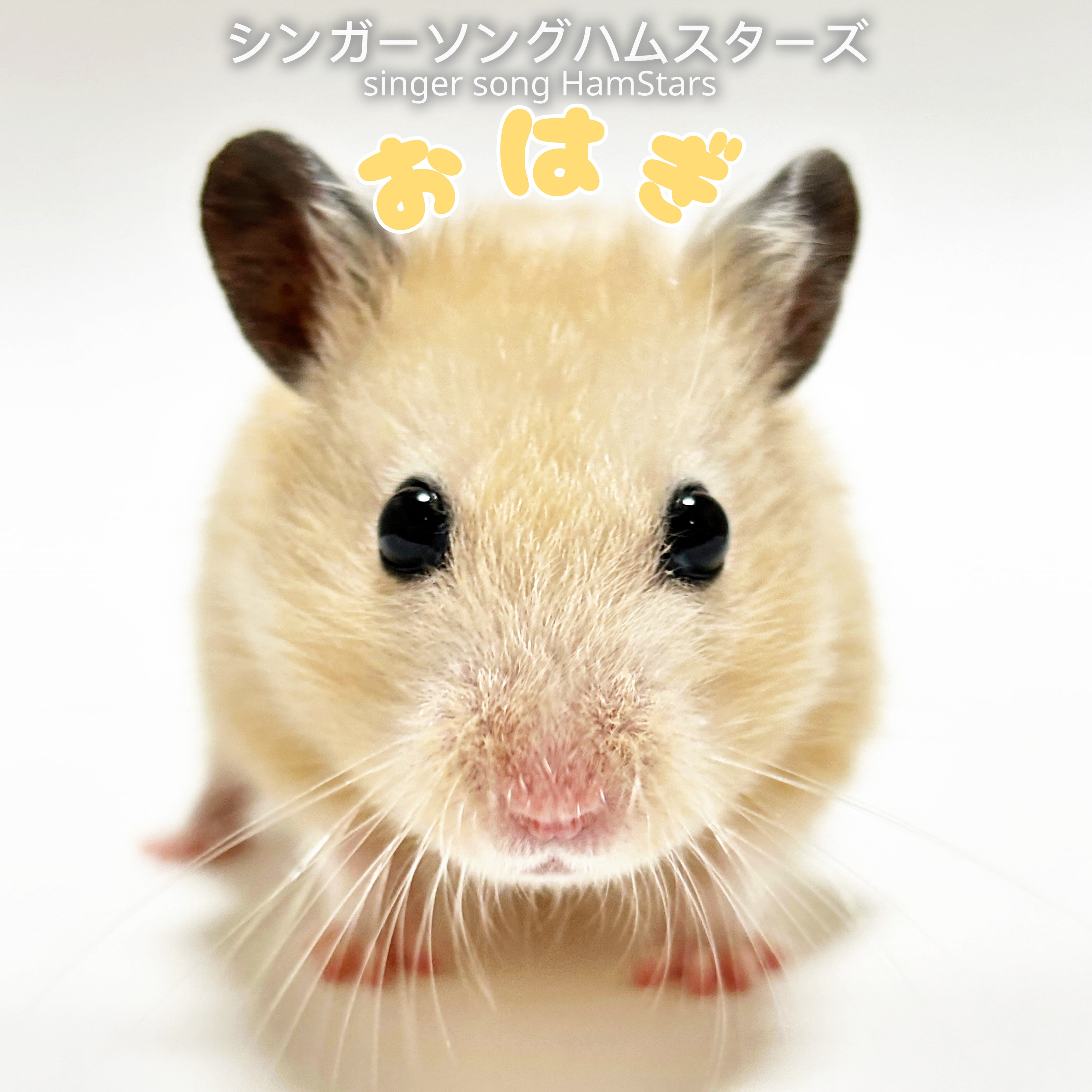 ジャケット写真