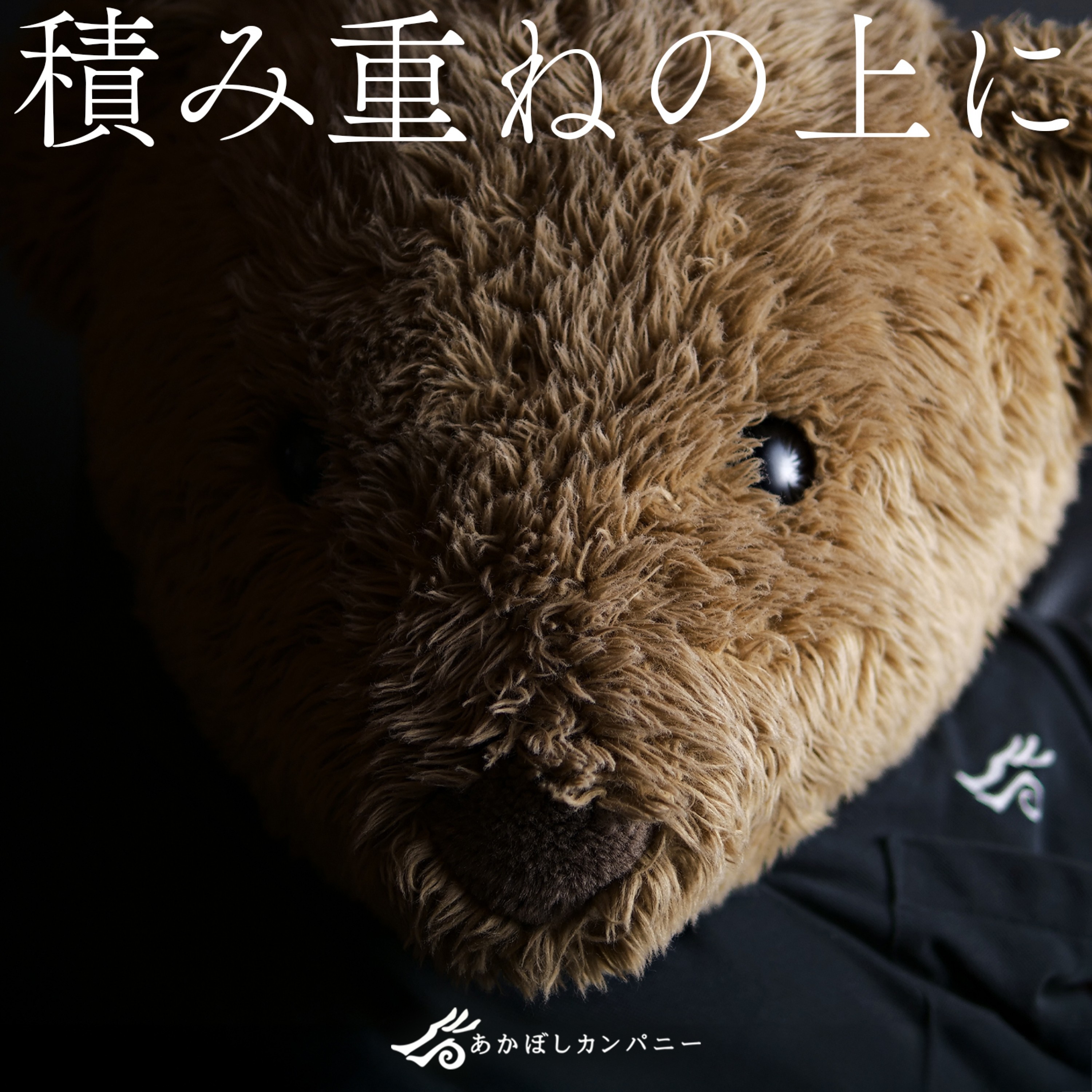 ジャケット写真