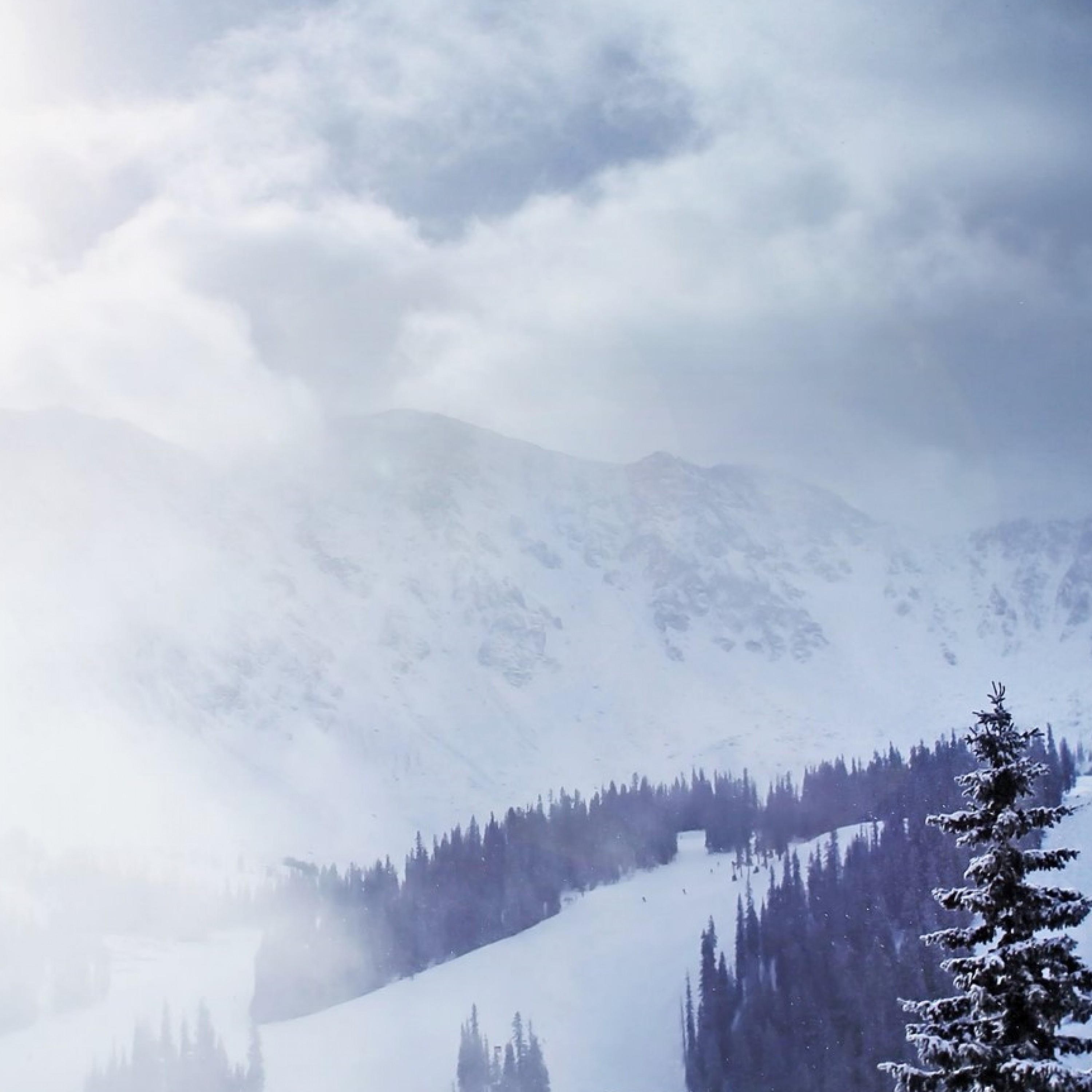 ジャケット写真