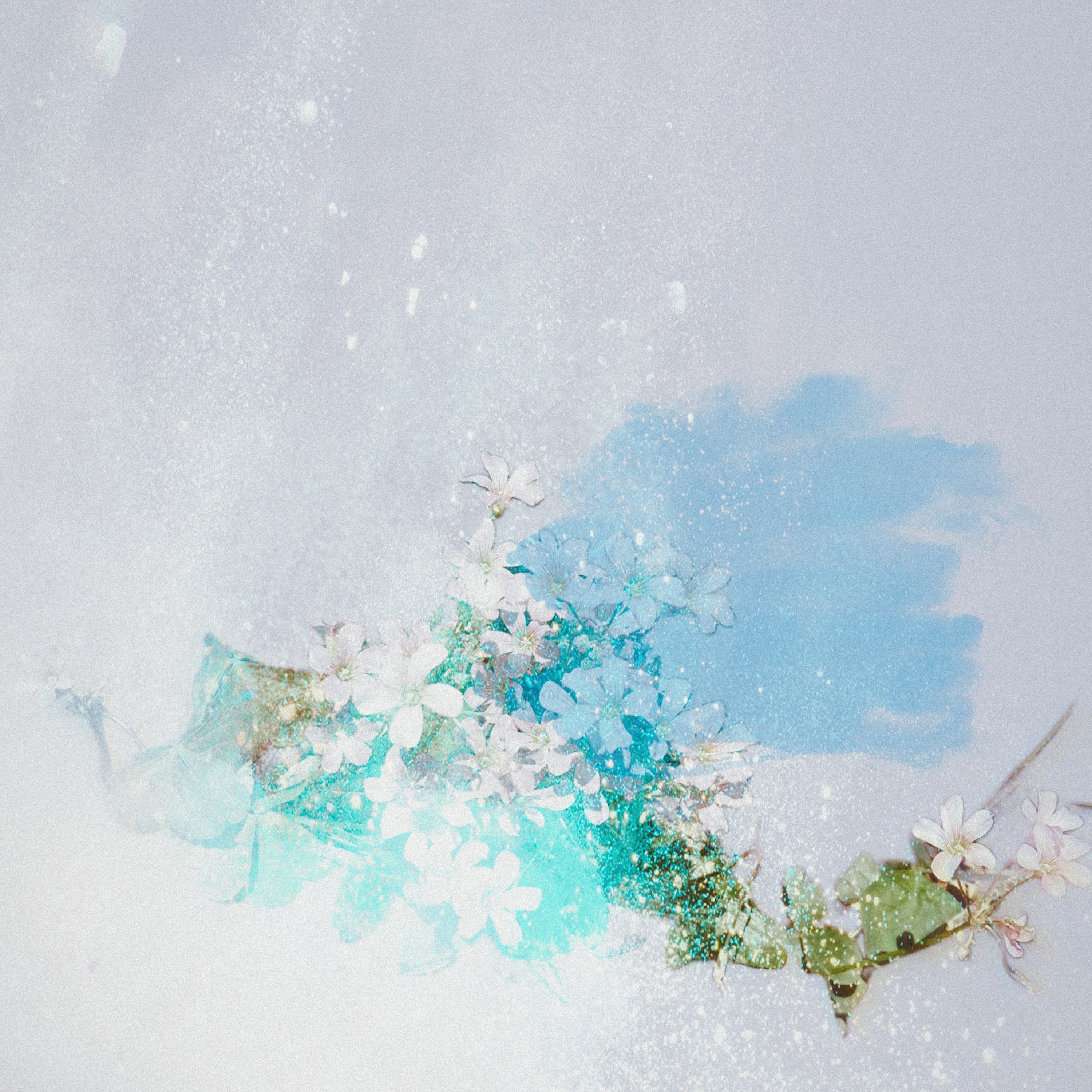 ジャケット写真