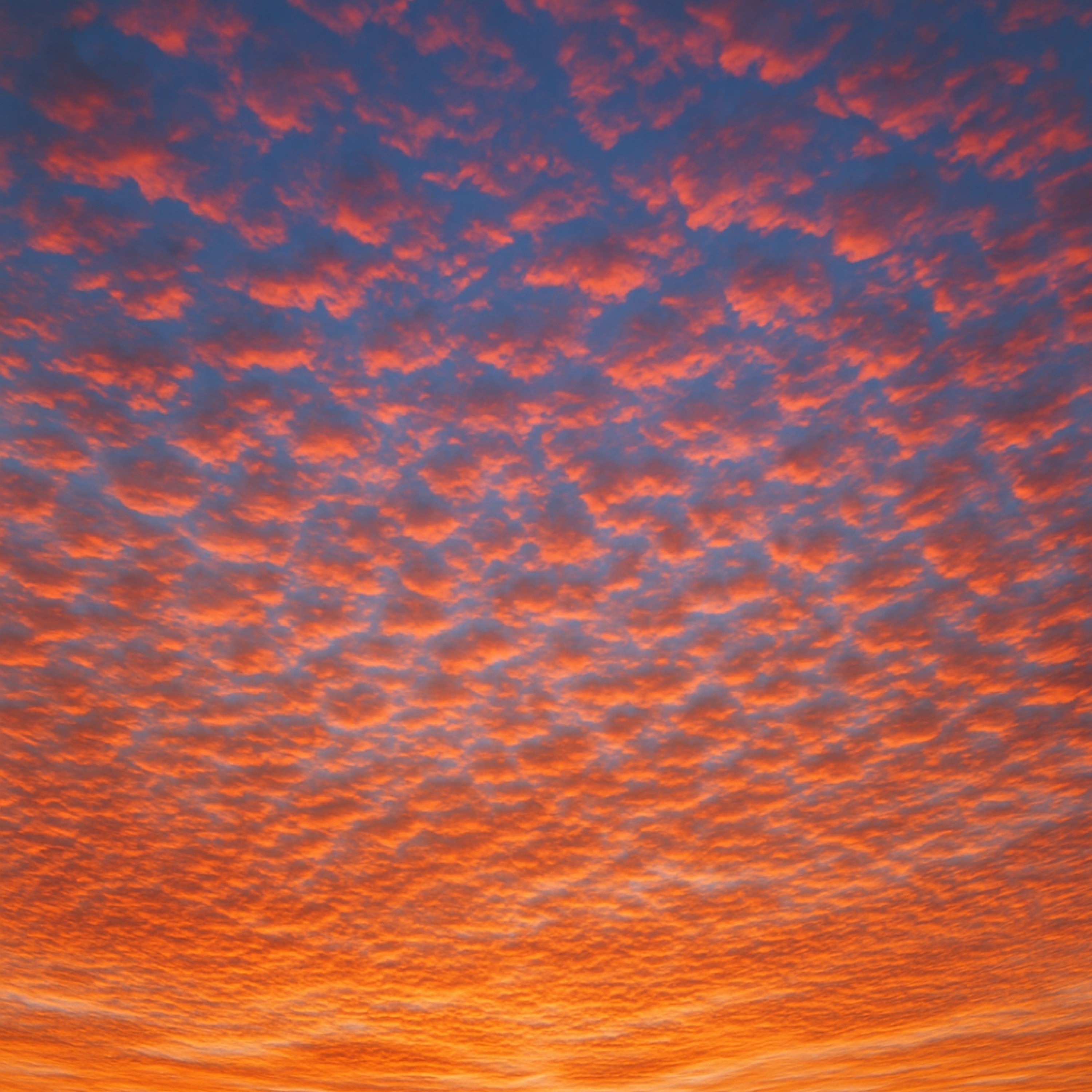 ジャケット写真