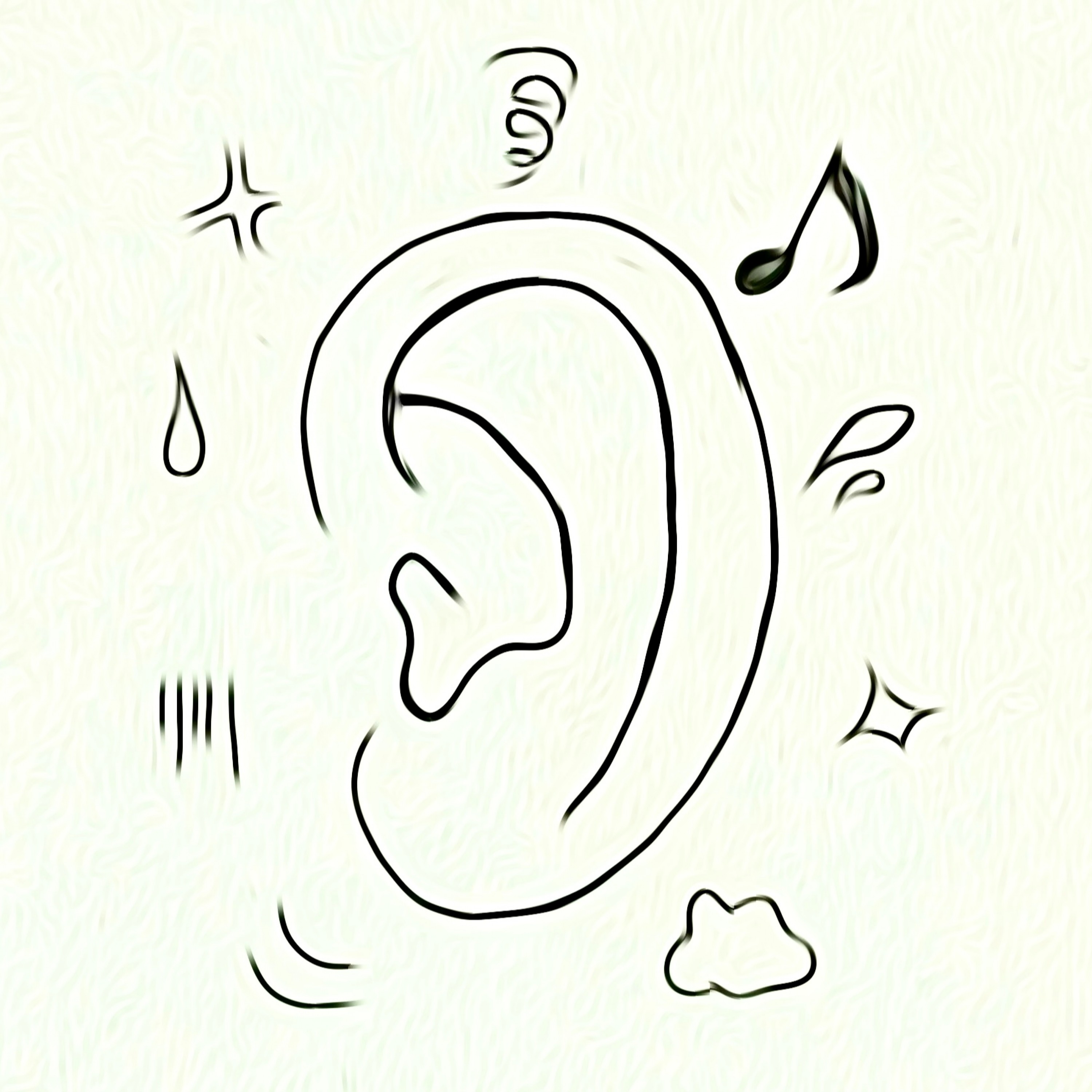 ジャケット写真