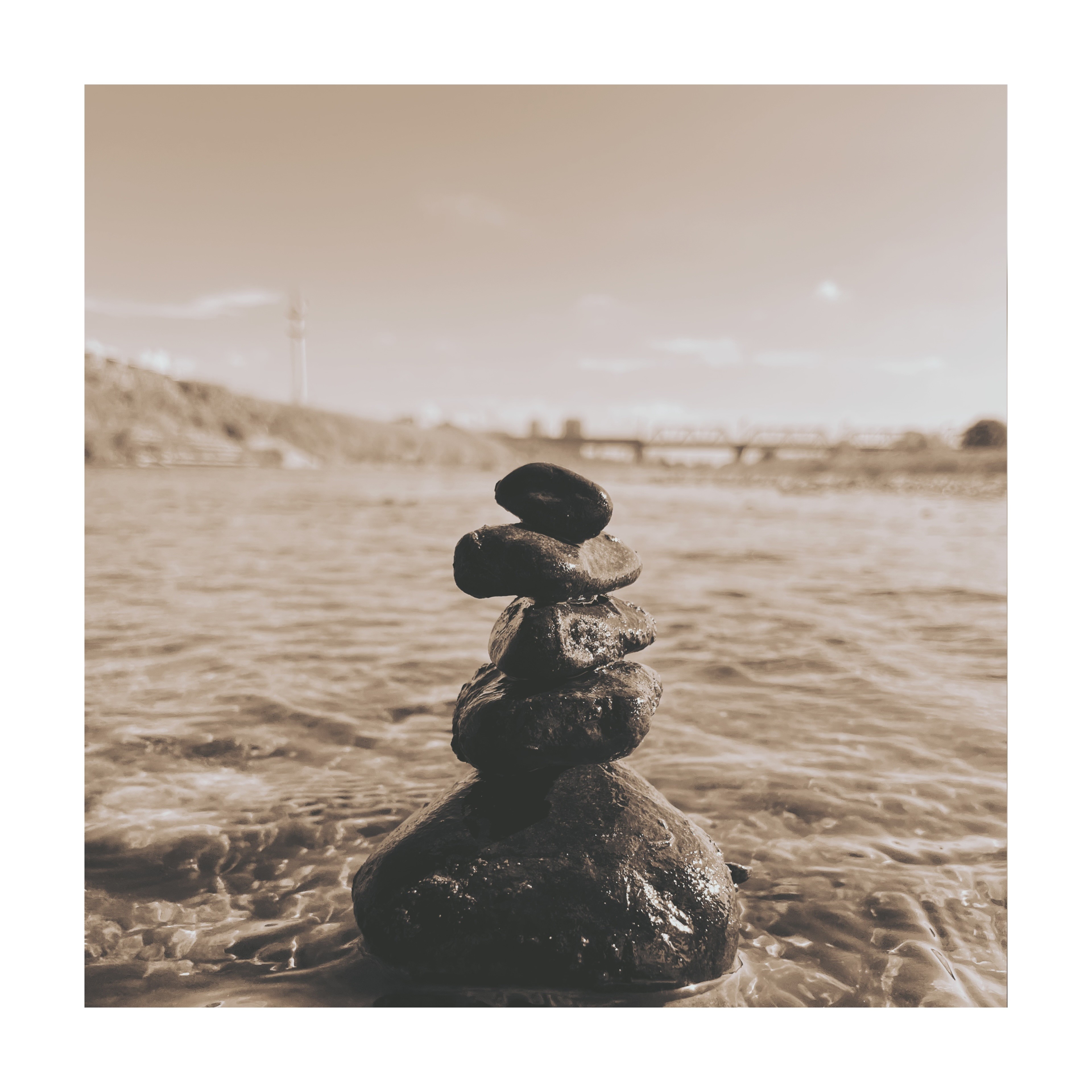 ジャケット写真