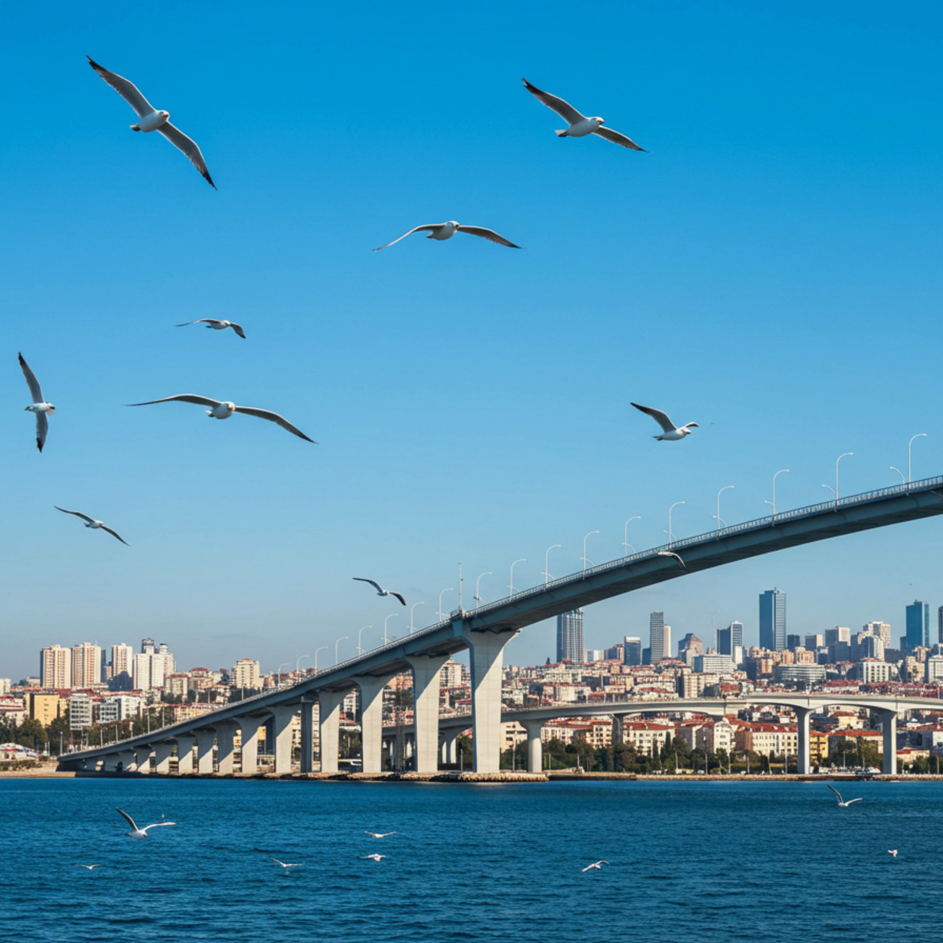 ジャケット写真