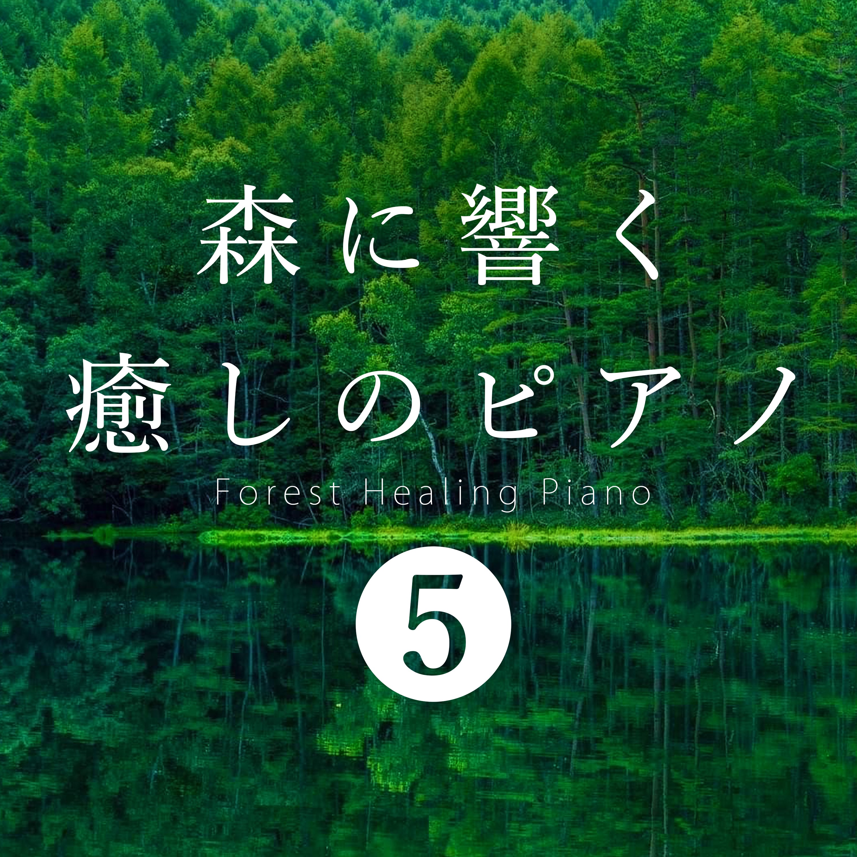 ジャケット写真