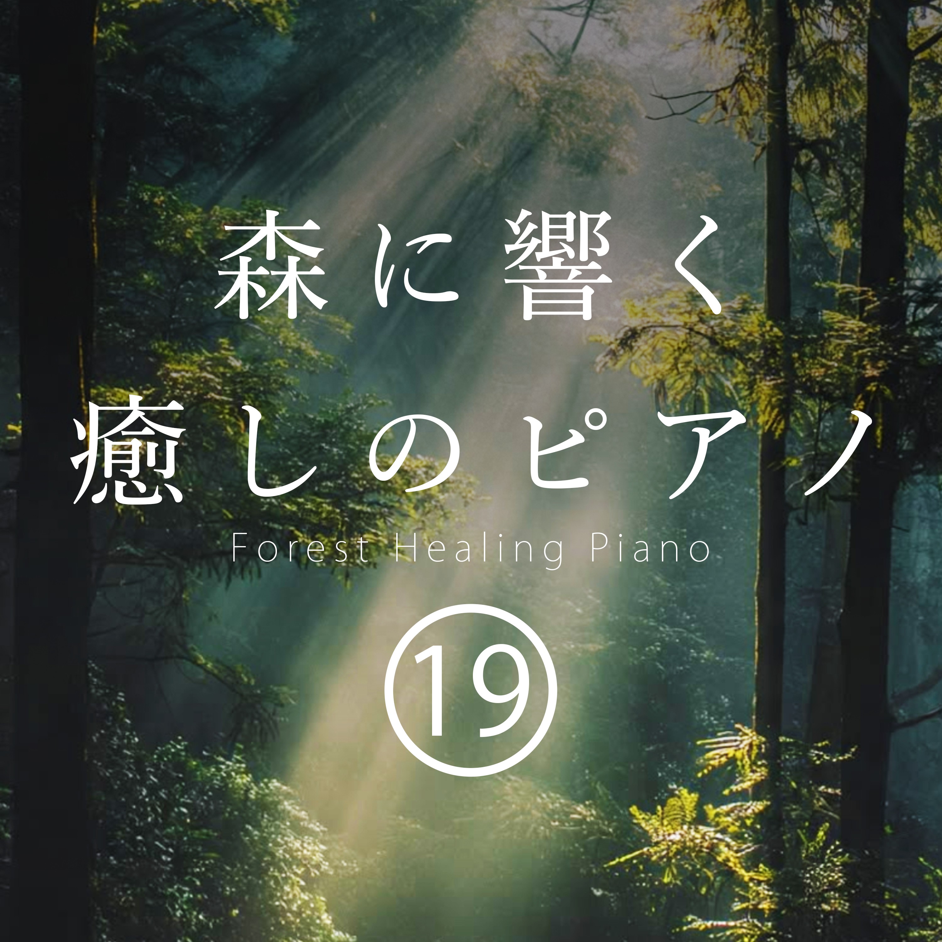 ジャケット写真