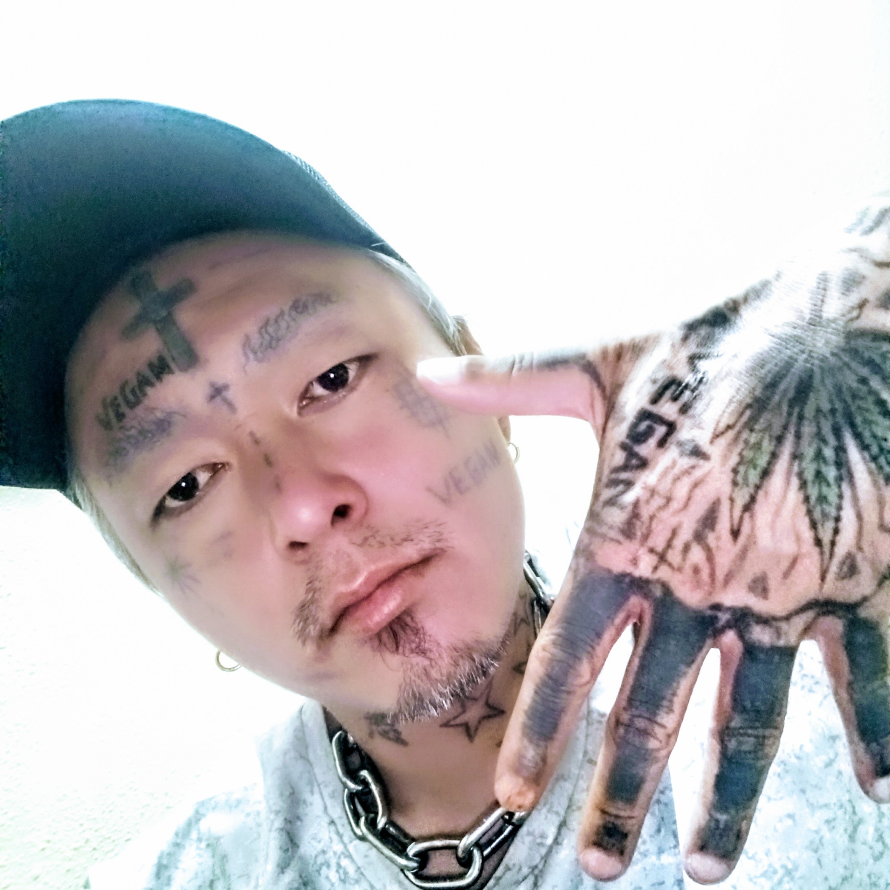 ジャケット写真