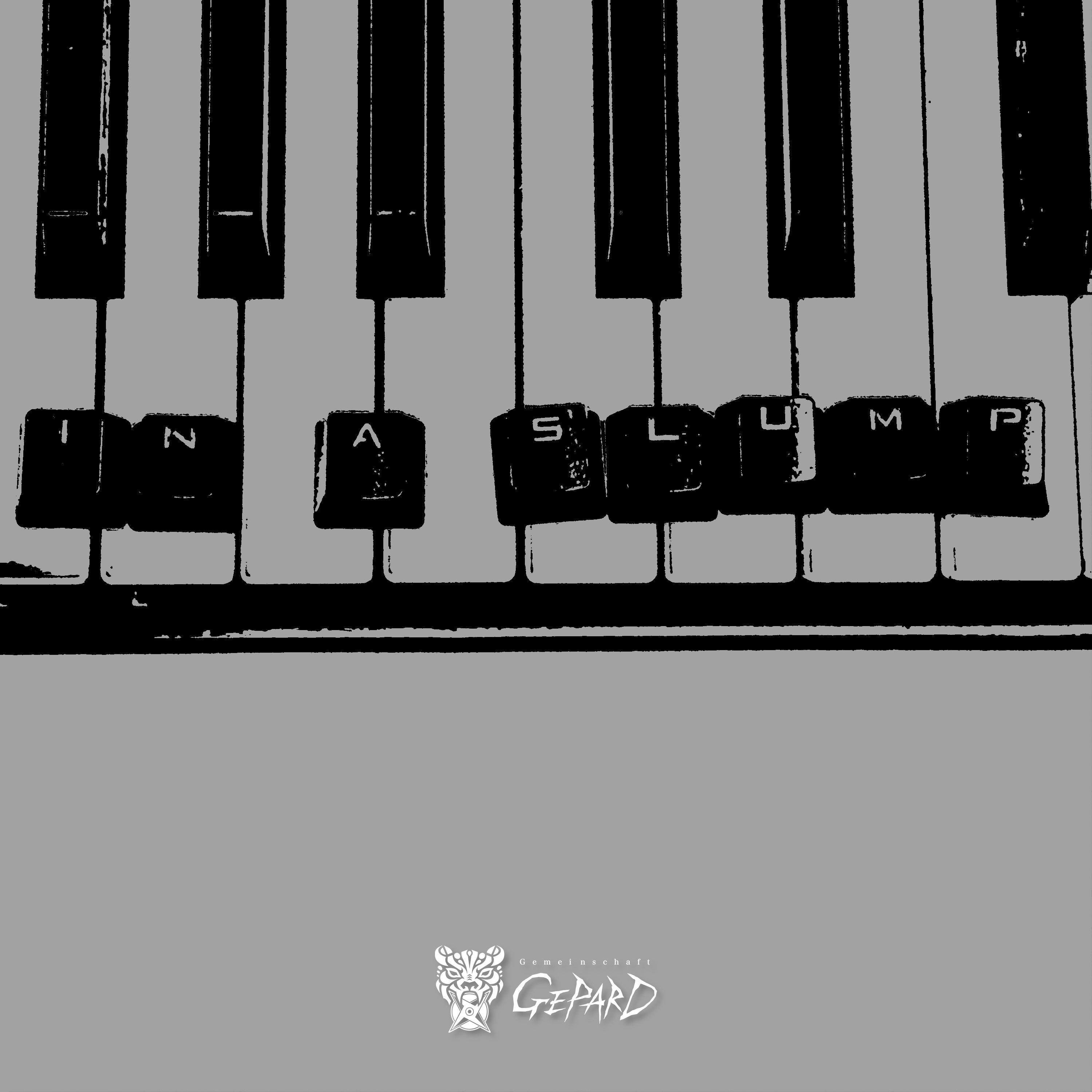 ジャケット写真