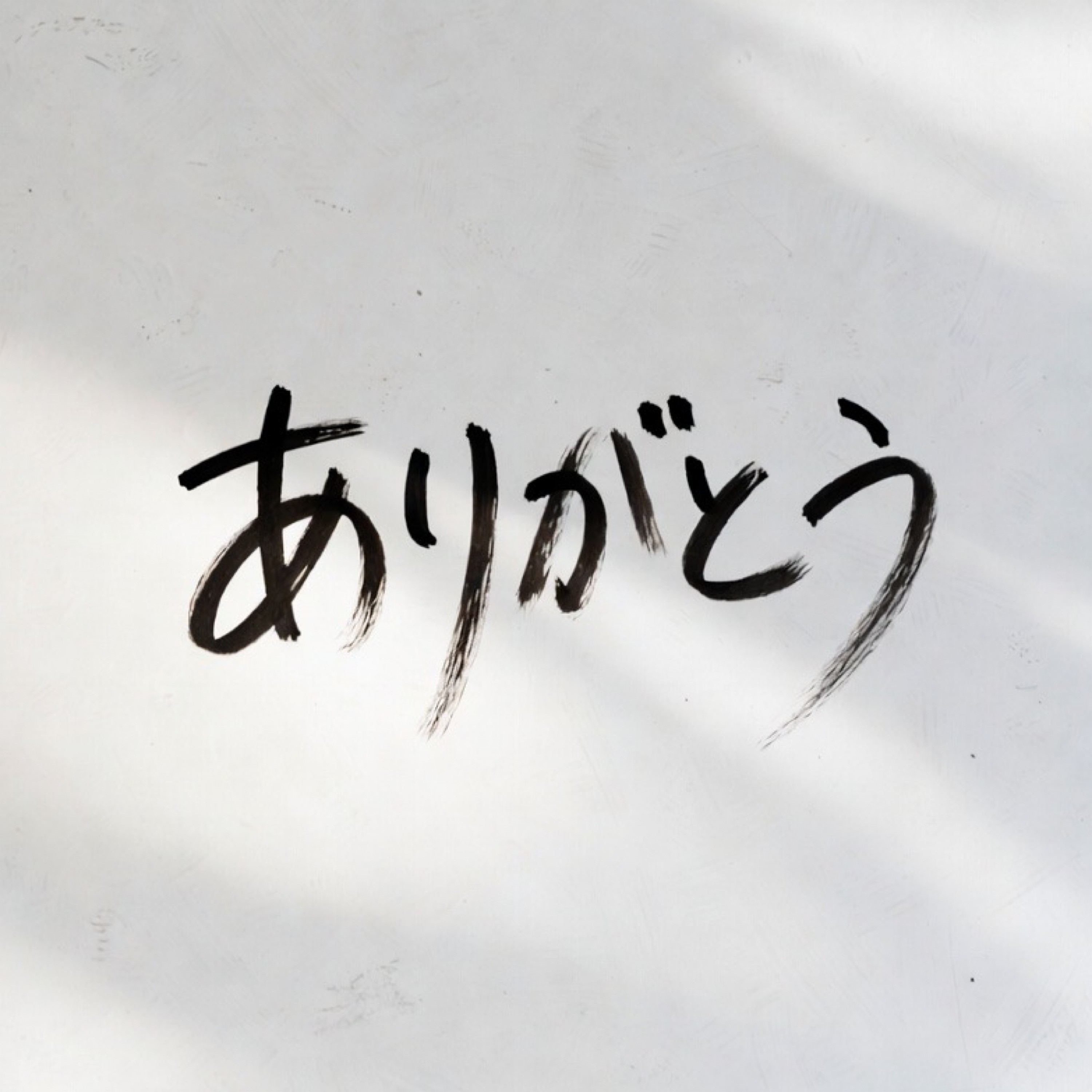 ジャケット写真