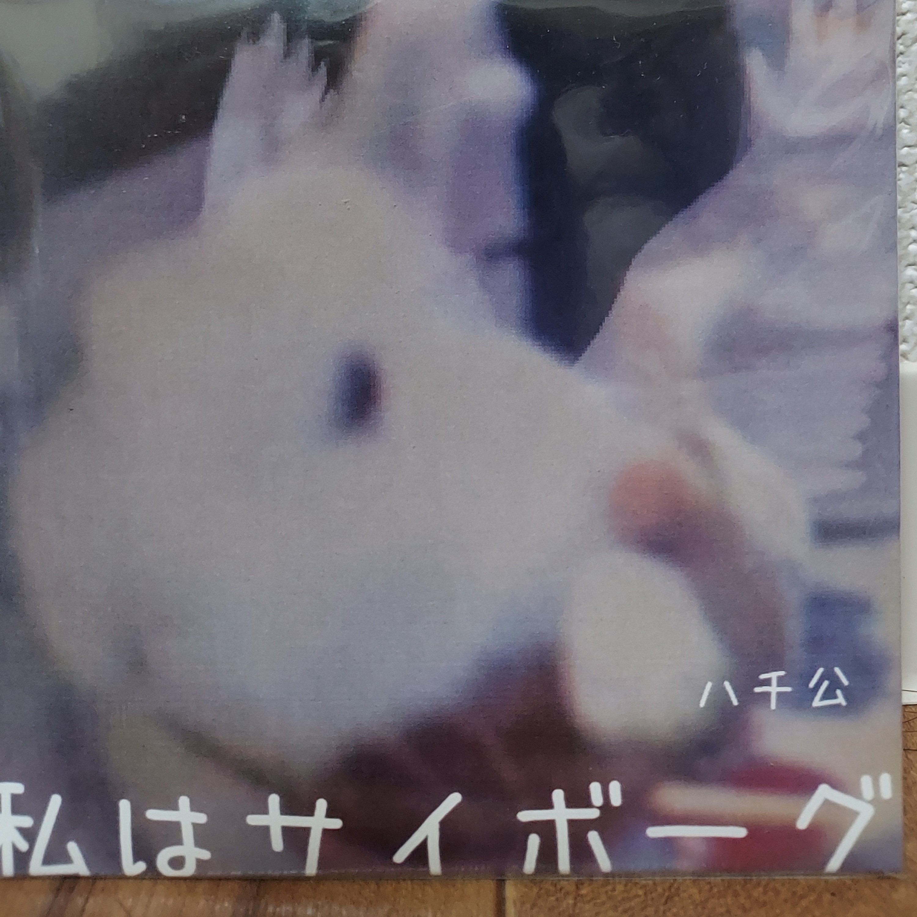 ジャケット写真