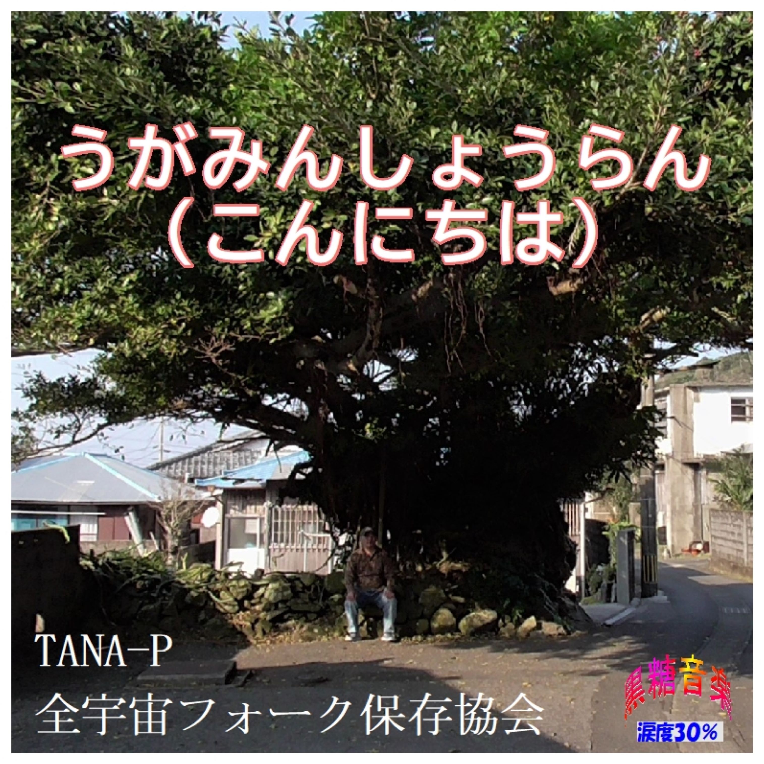 ジャケット写真