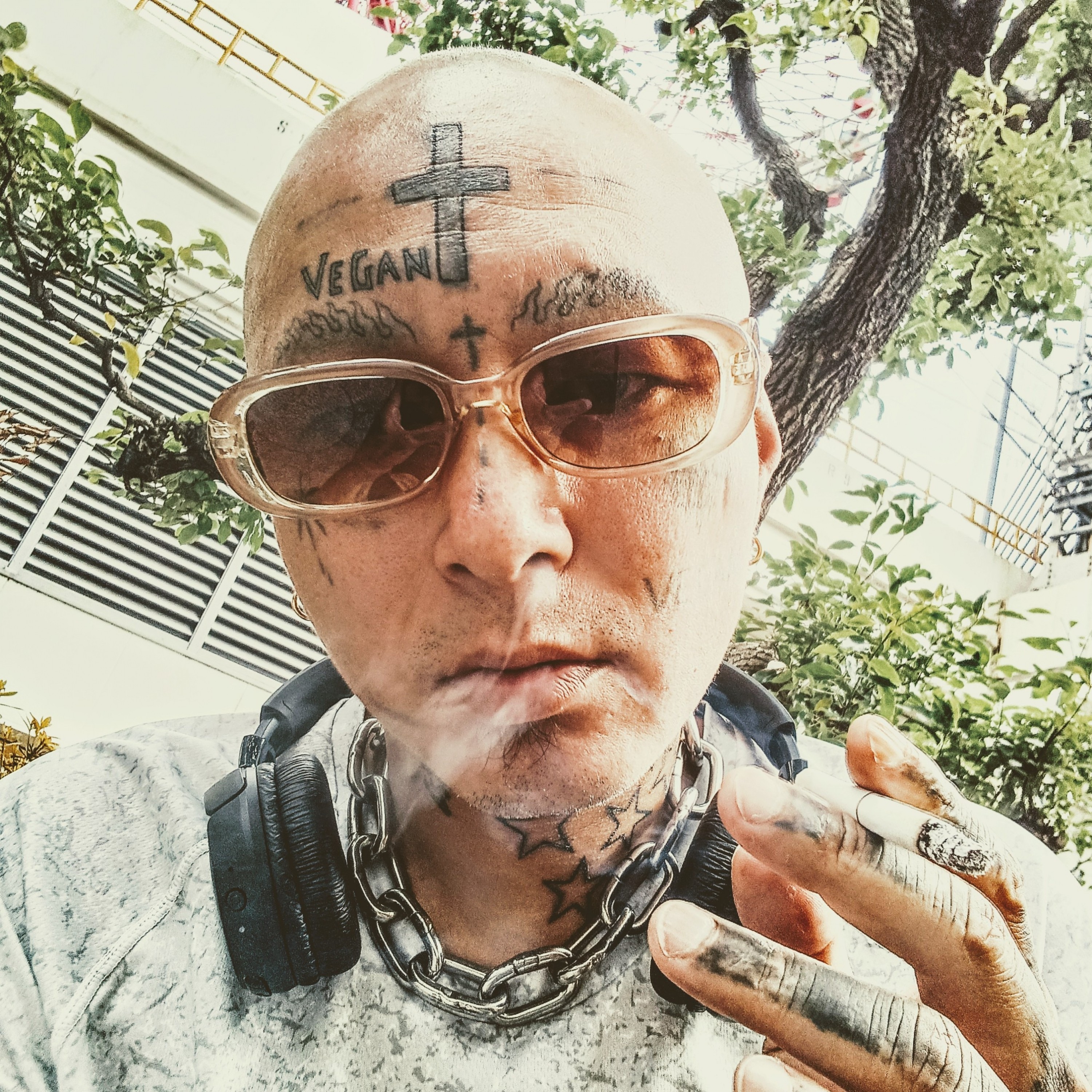 ジャケット写真