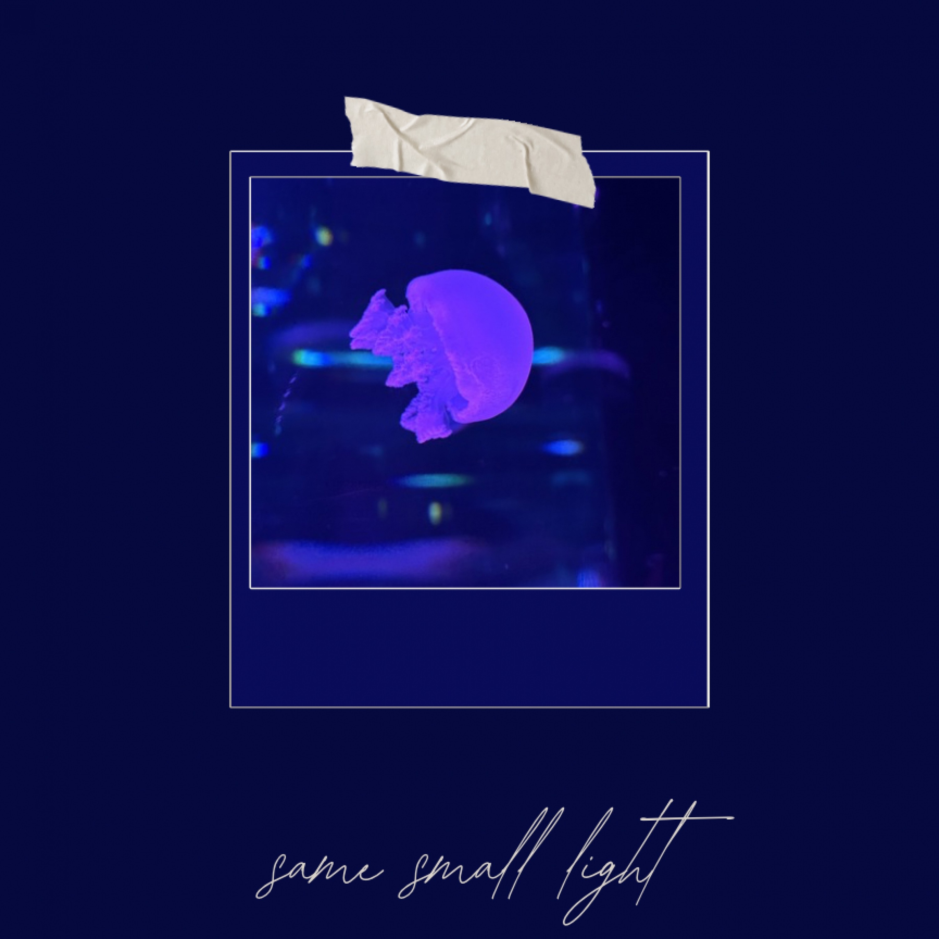 ジャケット写真