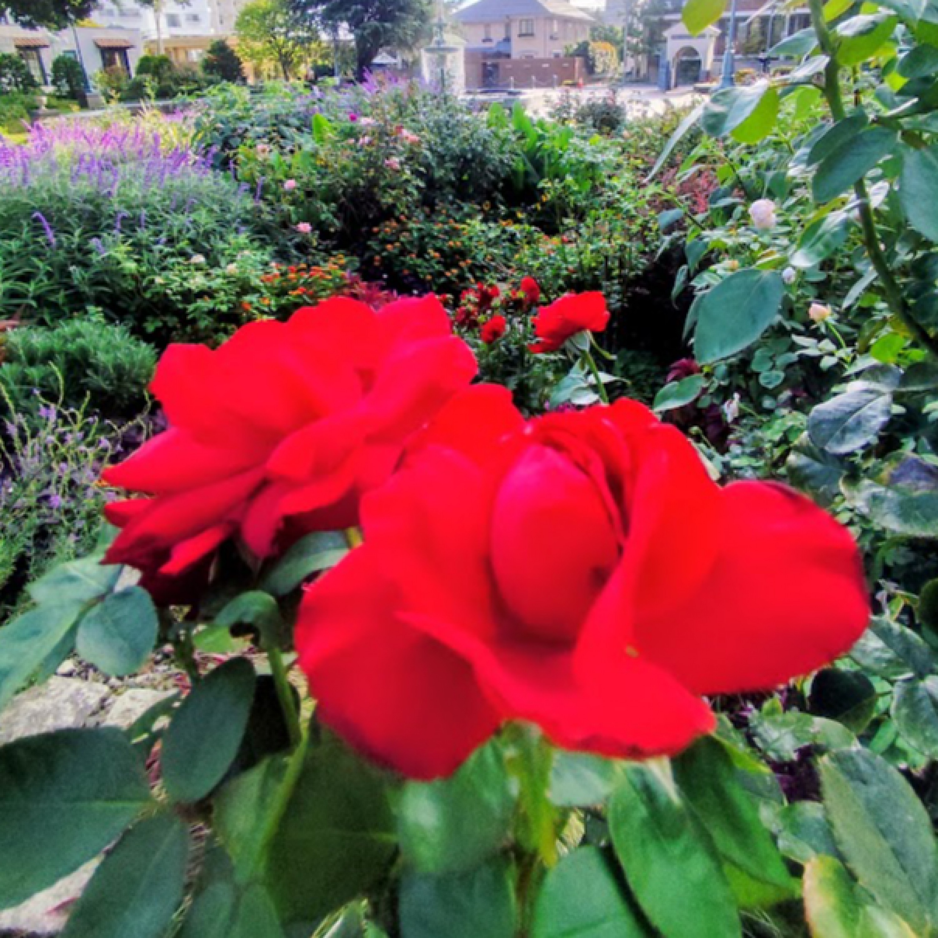 ジャケット写真