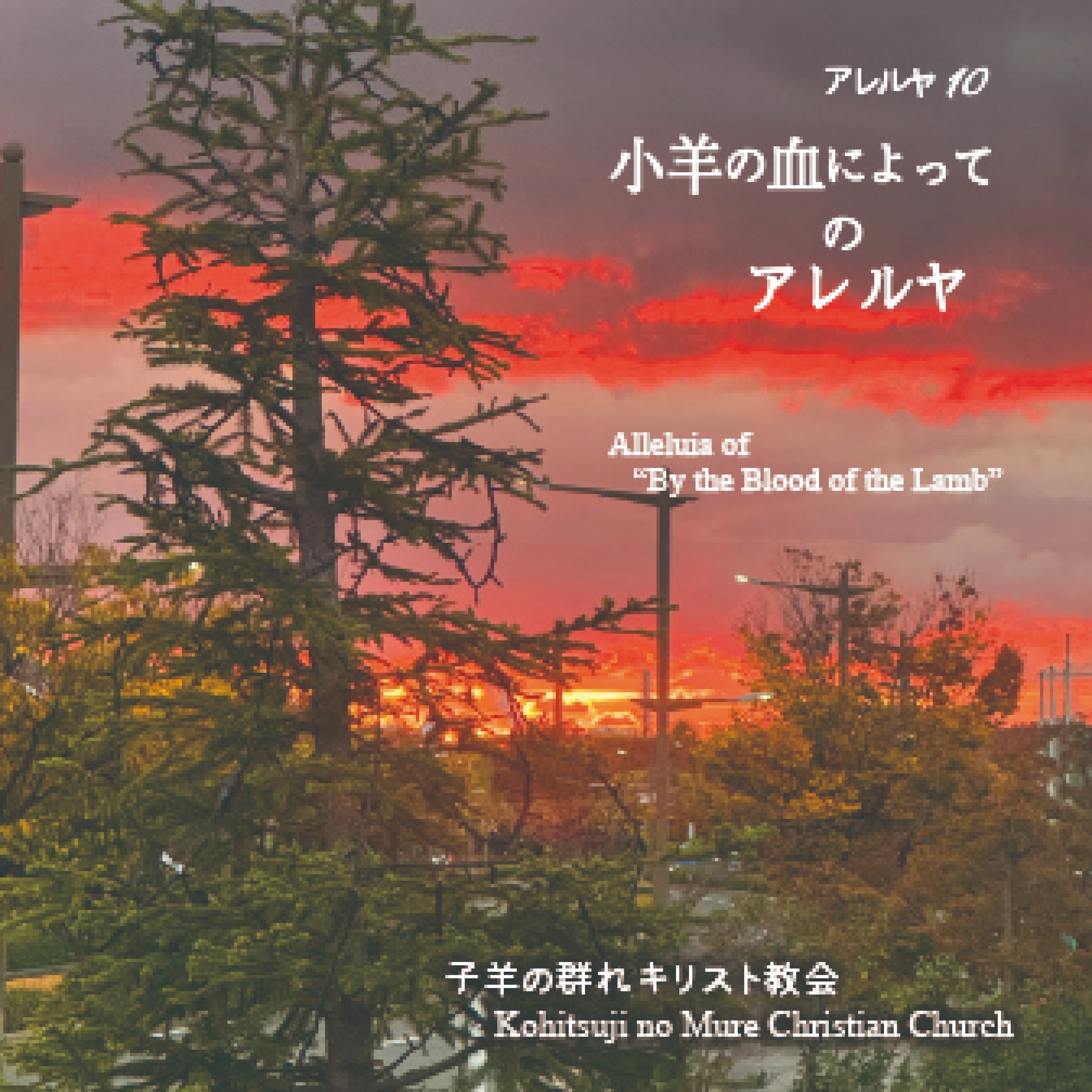 ジャケット写真