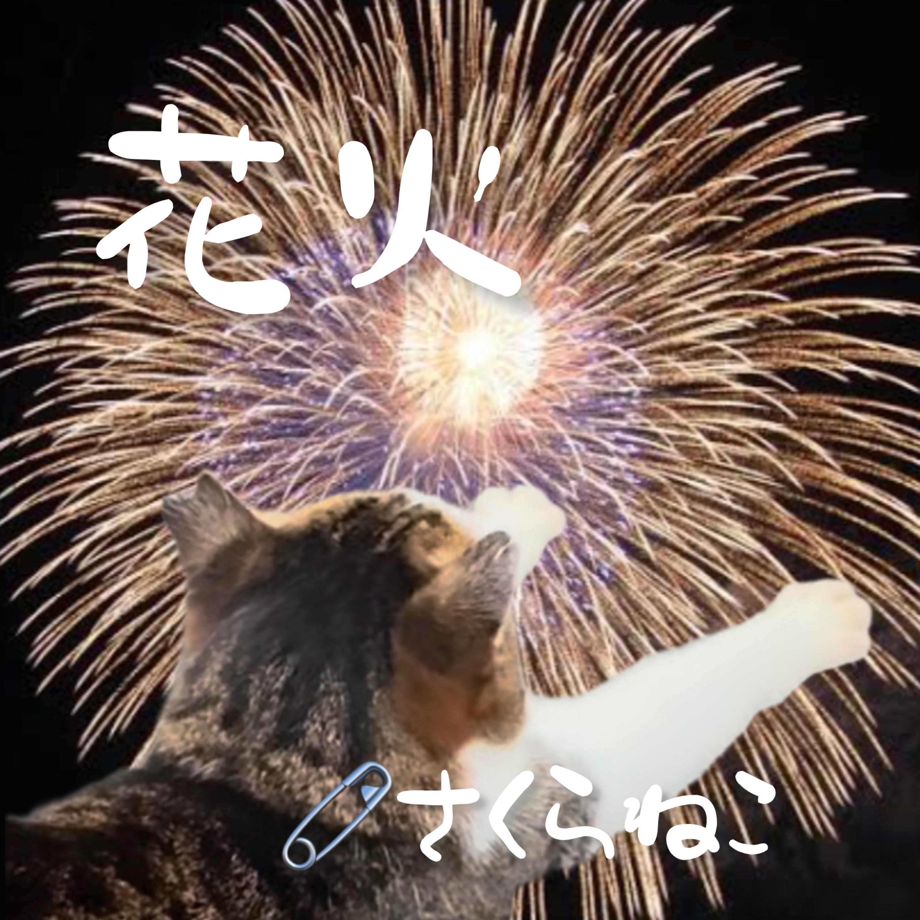ジャケット写真