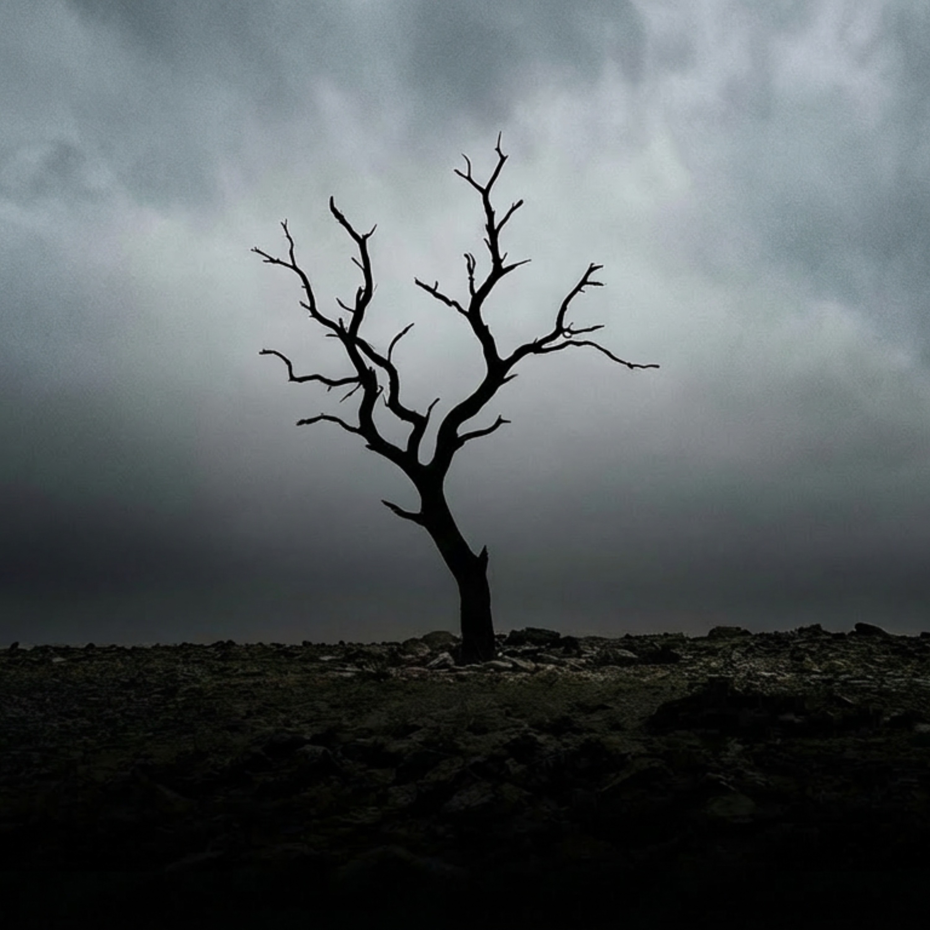 ジャケット写真