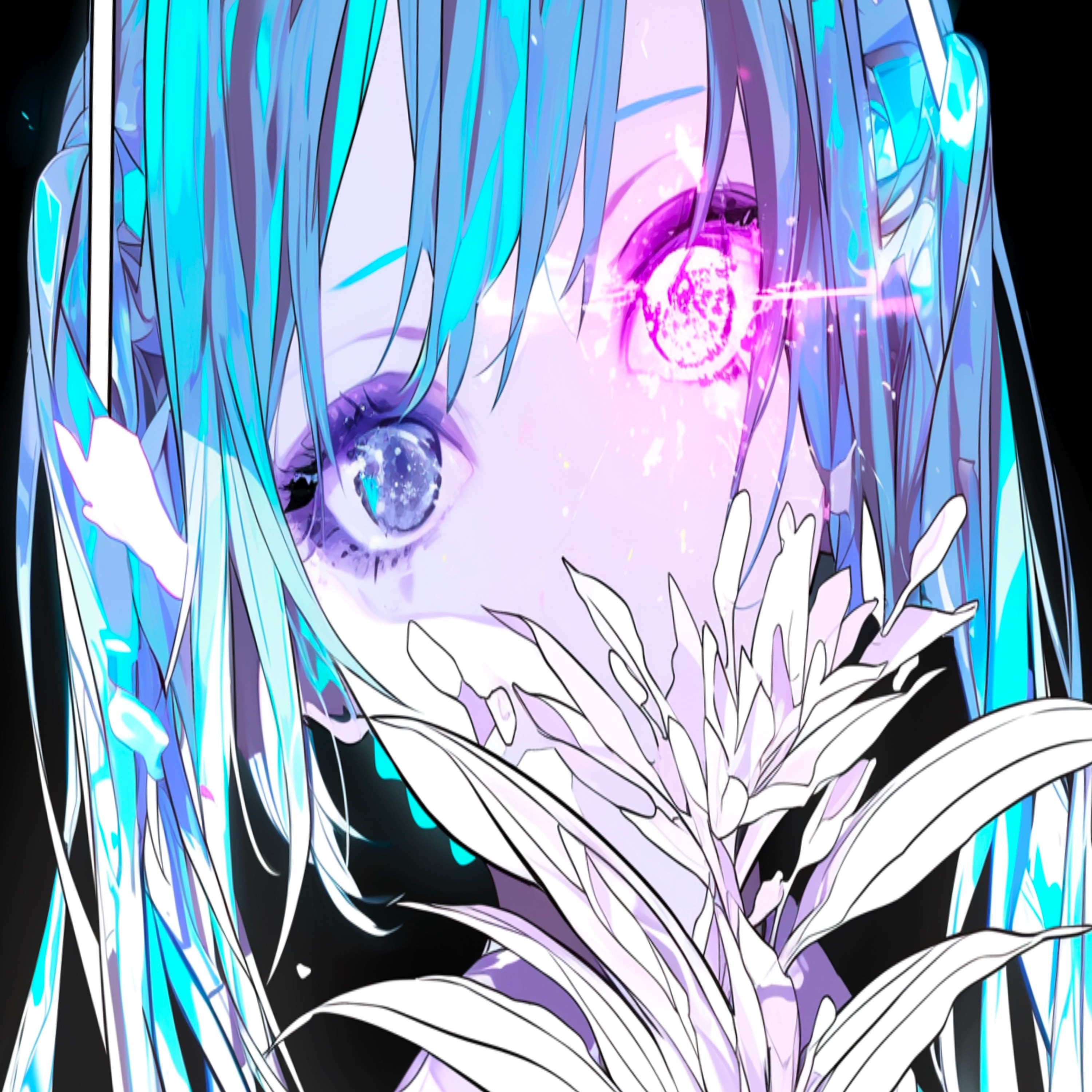 ジャケット写真