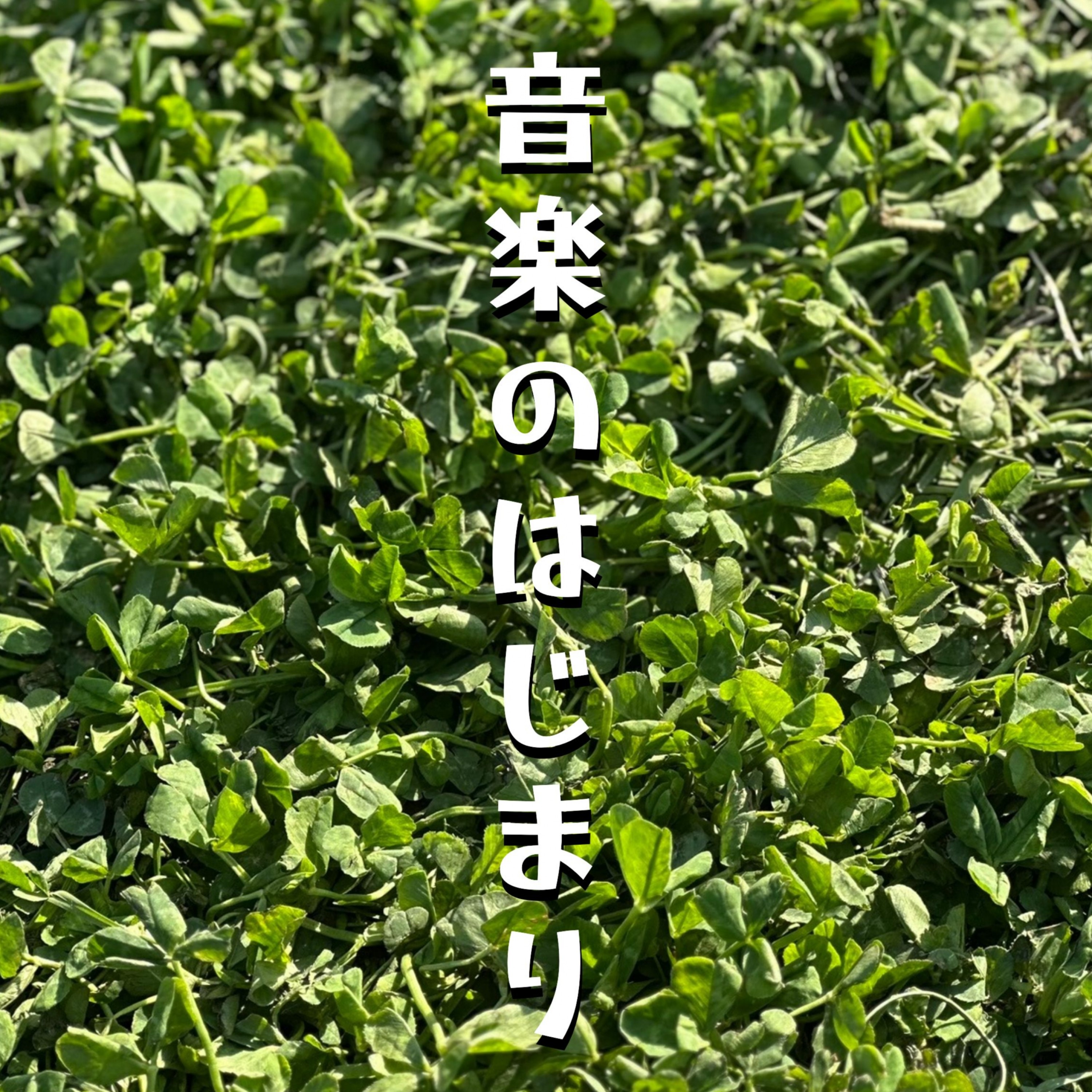 ジャケット写真