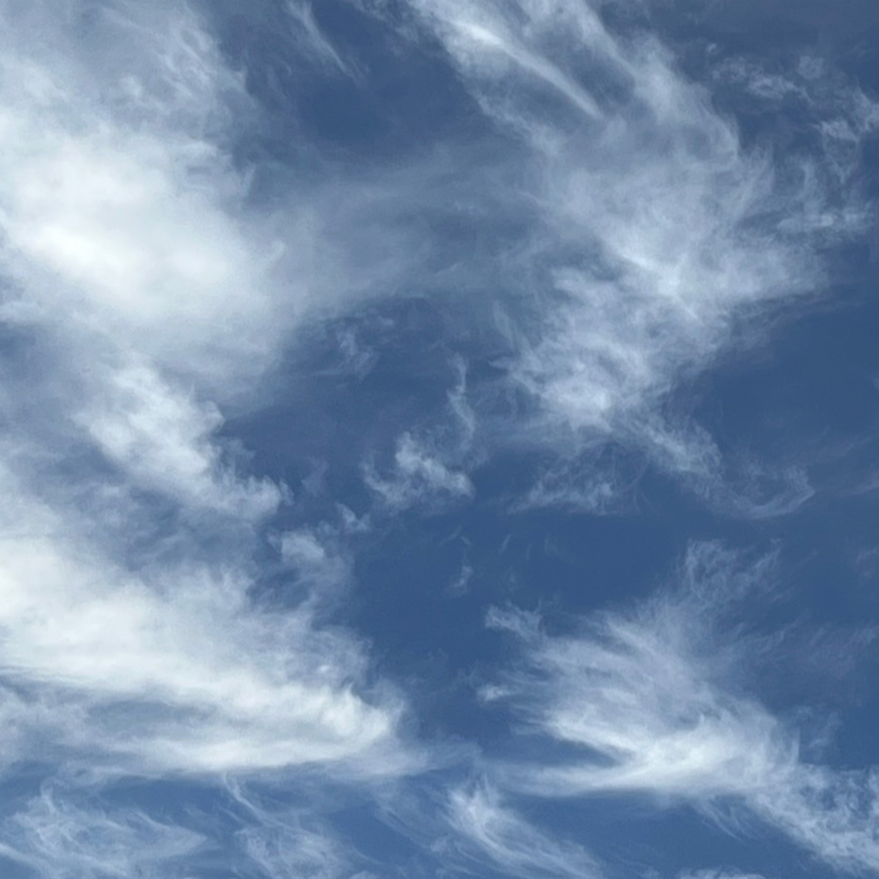 ジャケット写真