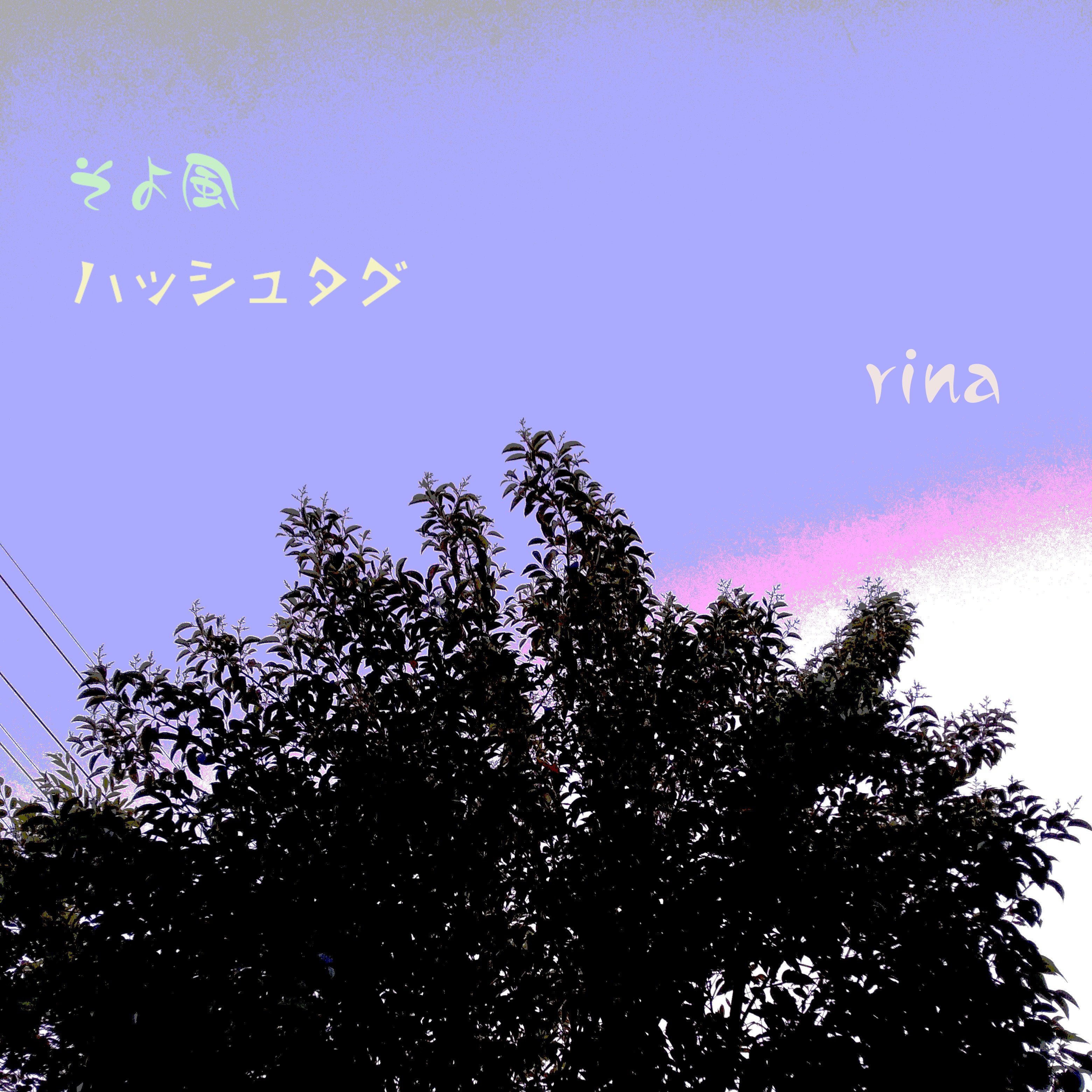 ジャケット写真