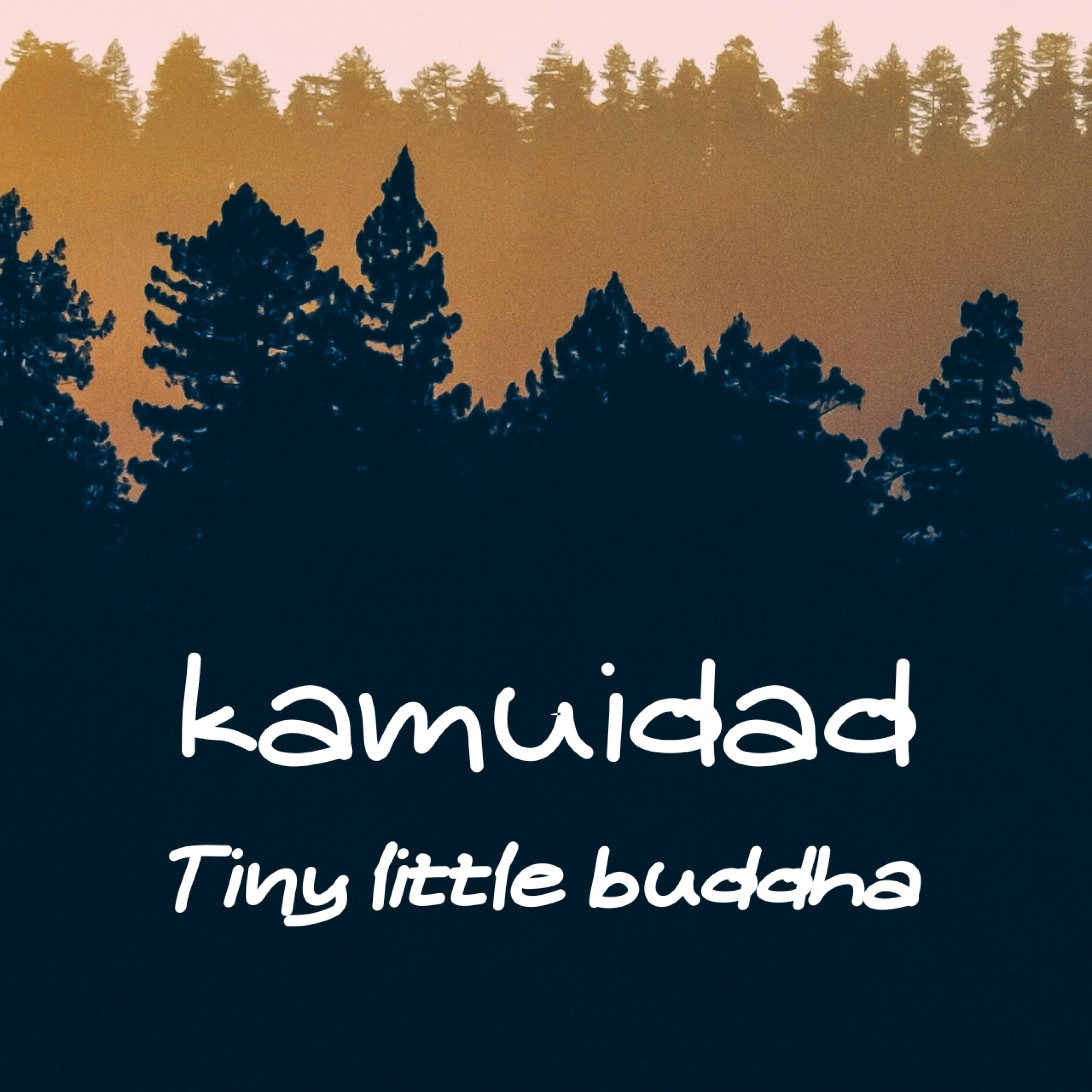 ジャケット写真