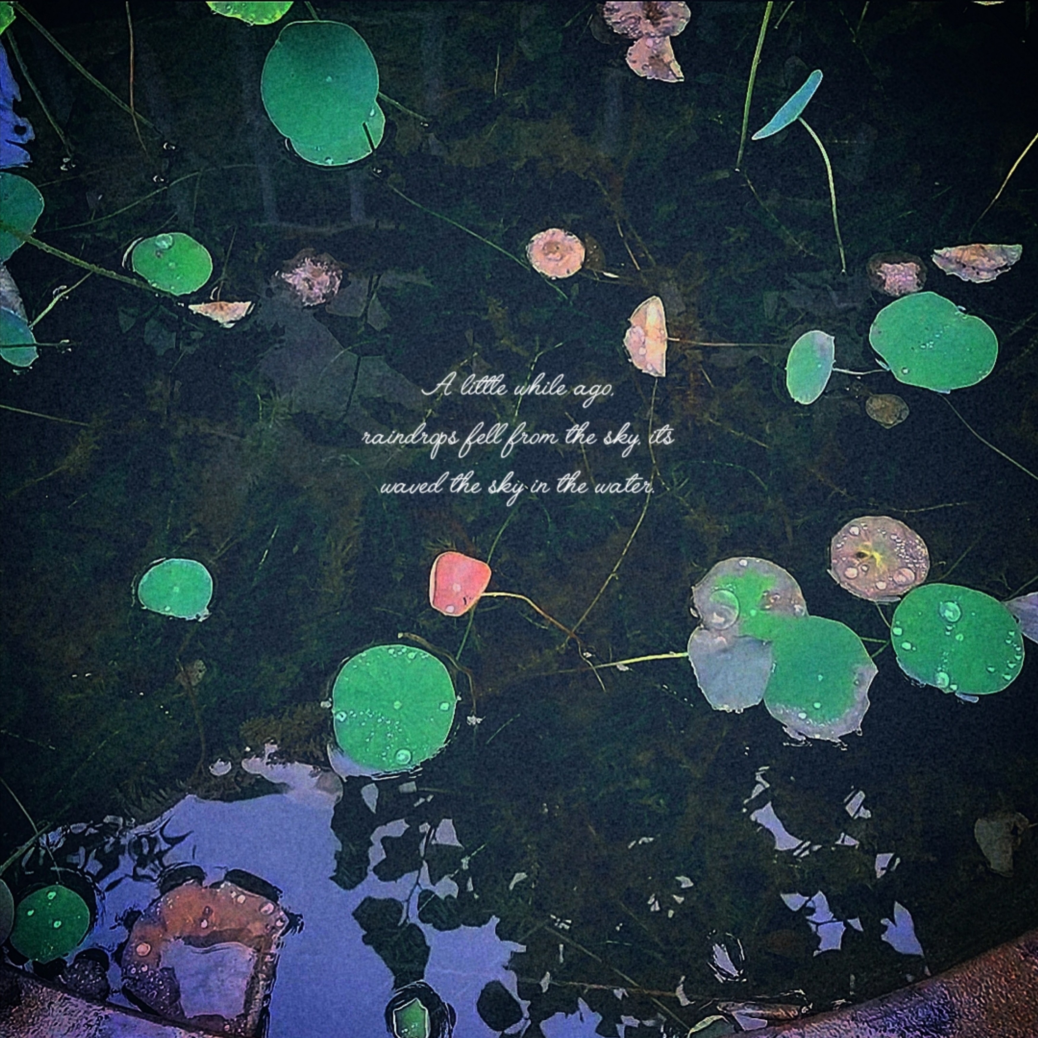 ジャケット写真