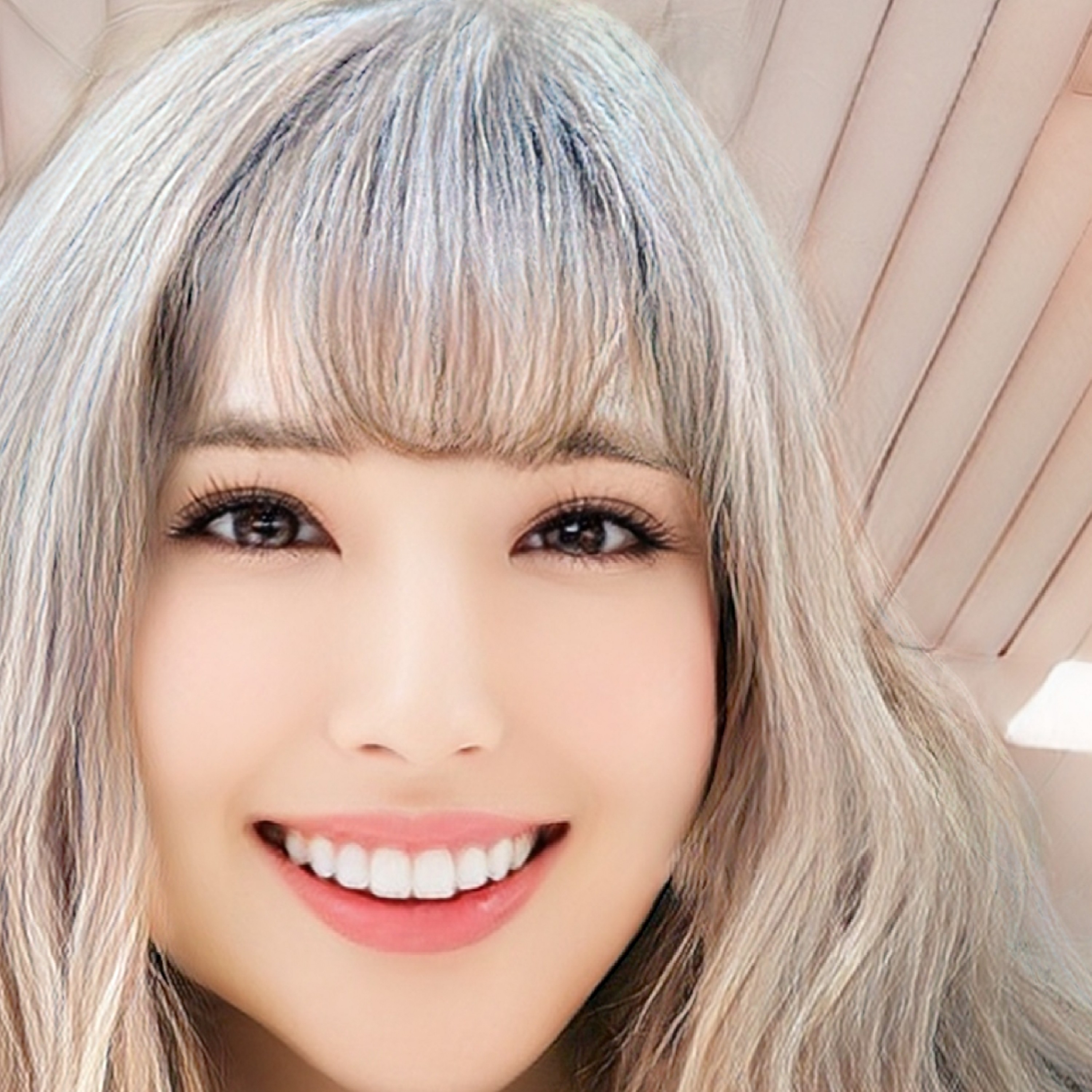 ジャケット写真