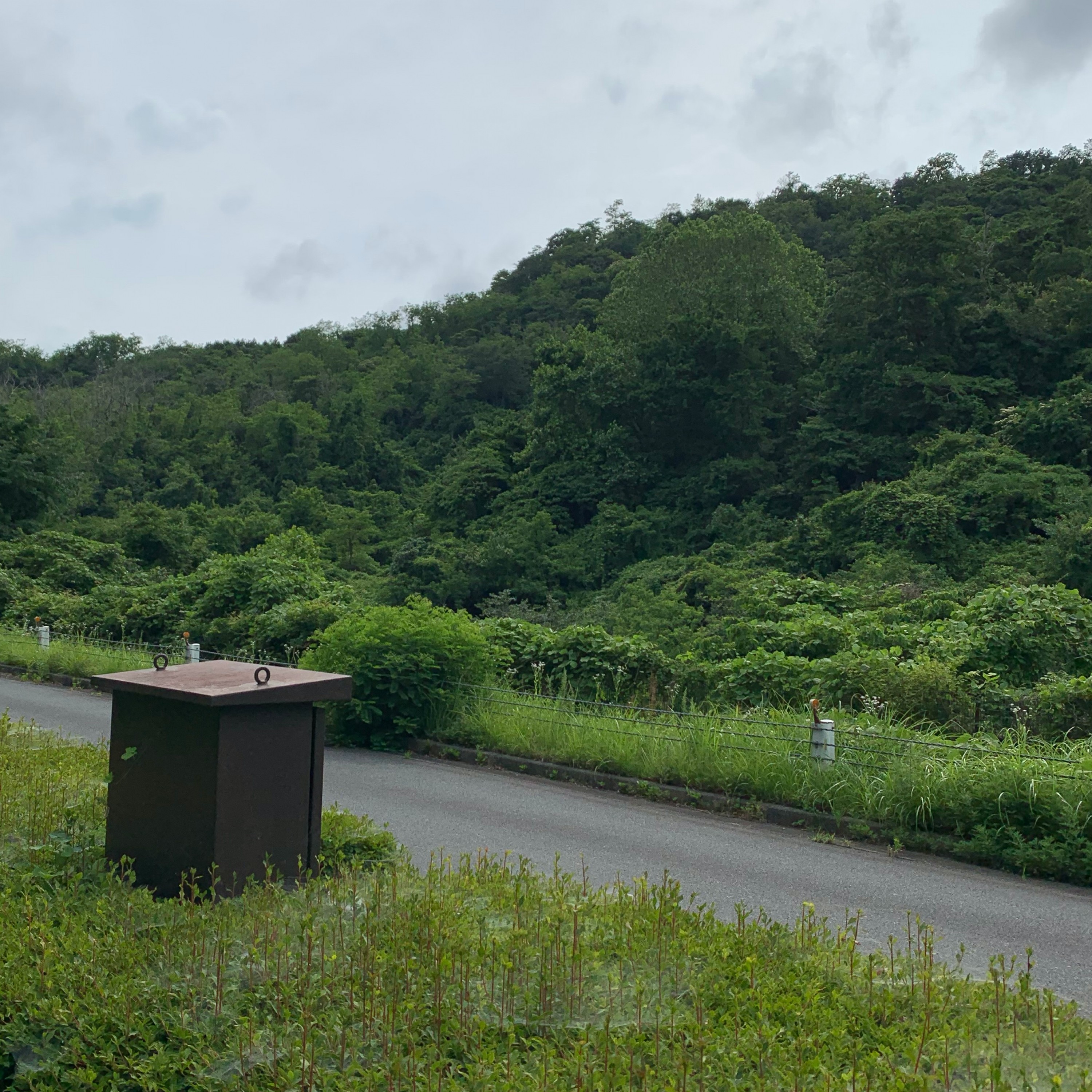 ジャケット写真