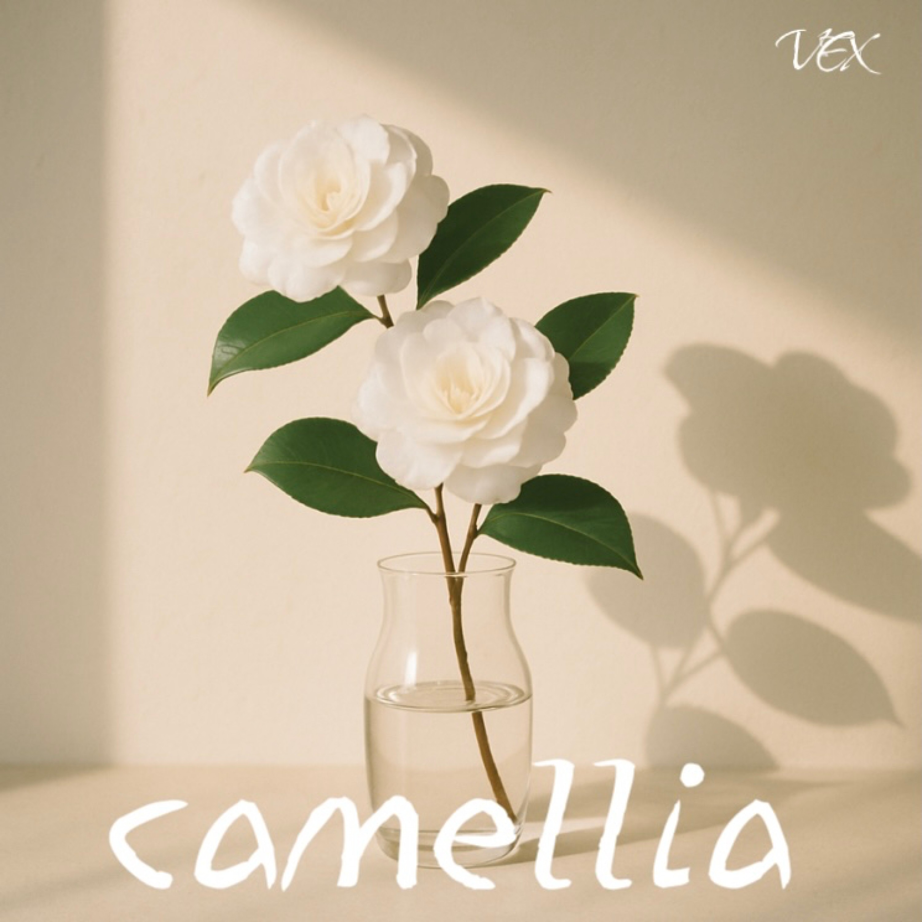 ジャケット写真