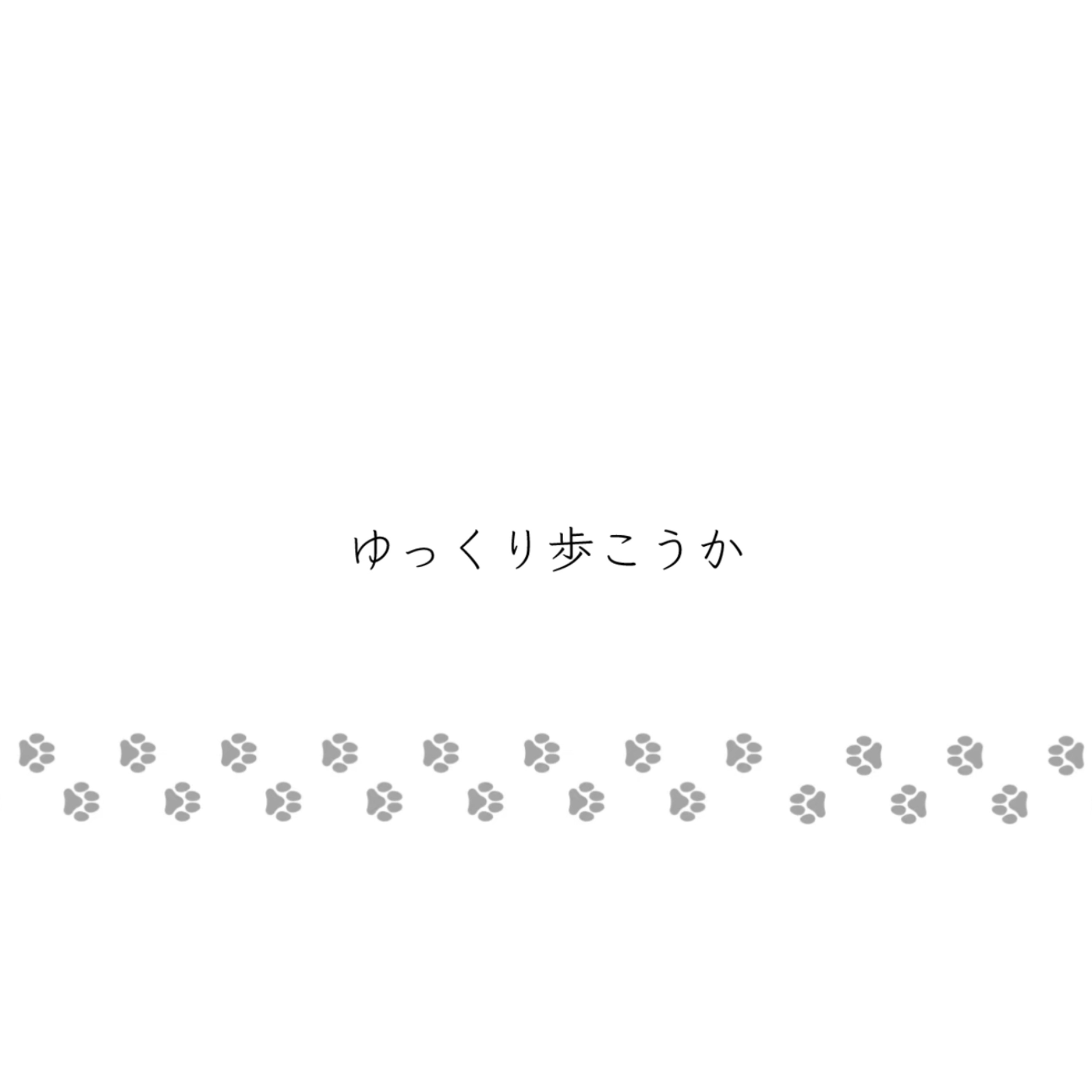 ジャケット写真