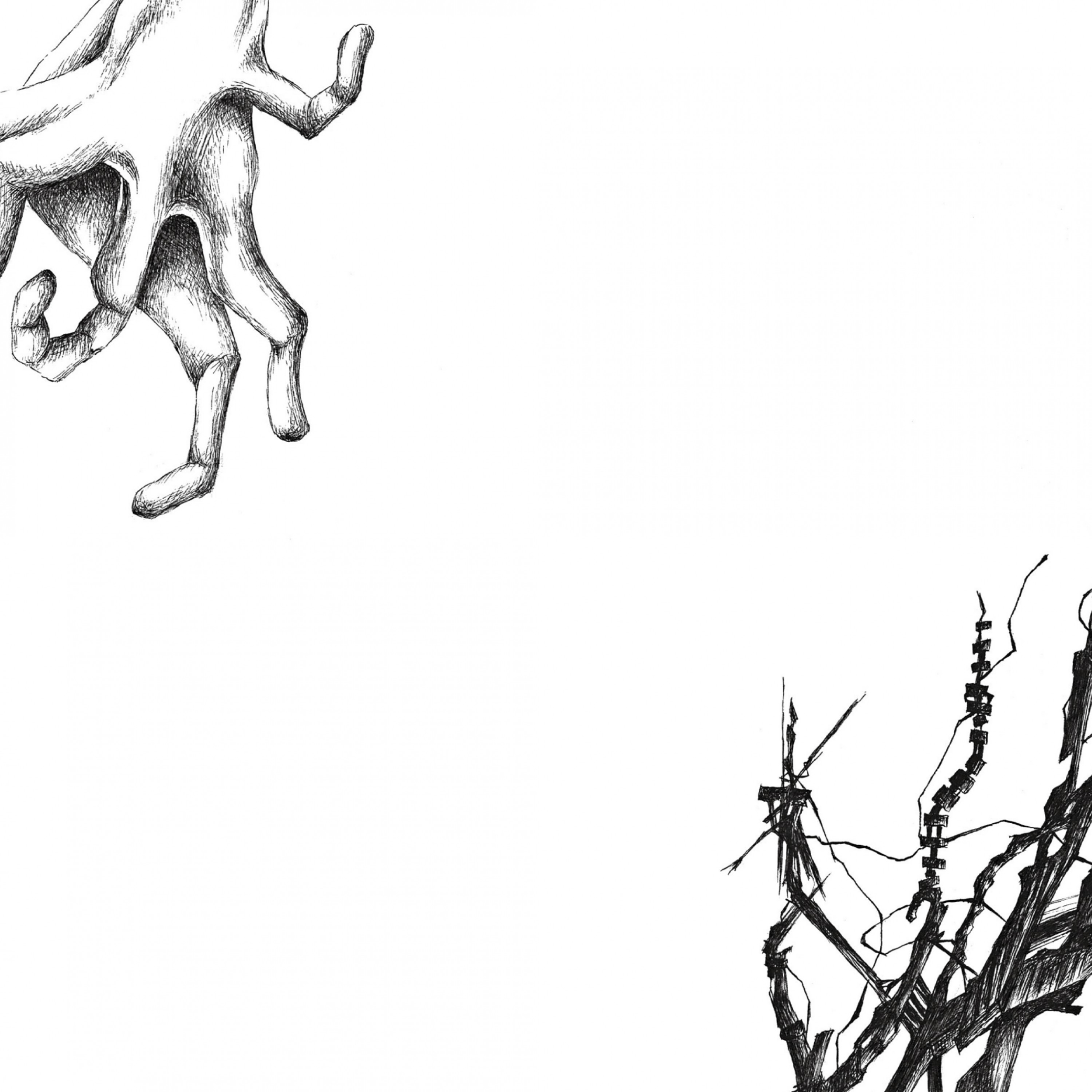 ジャケット写真