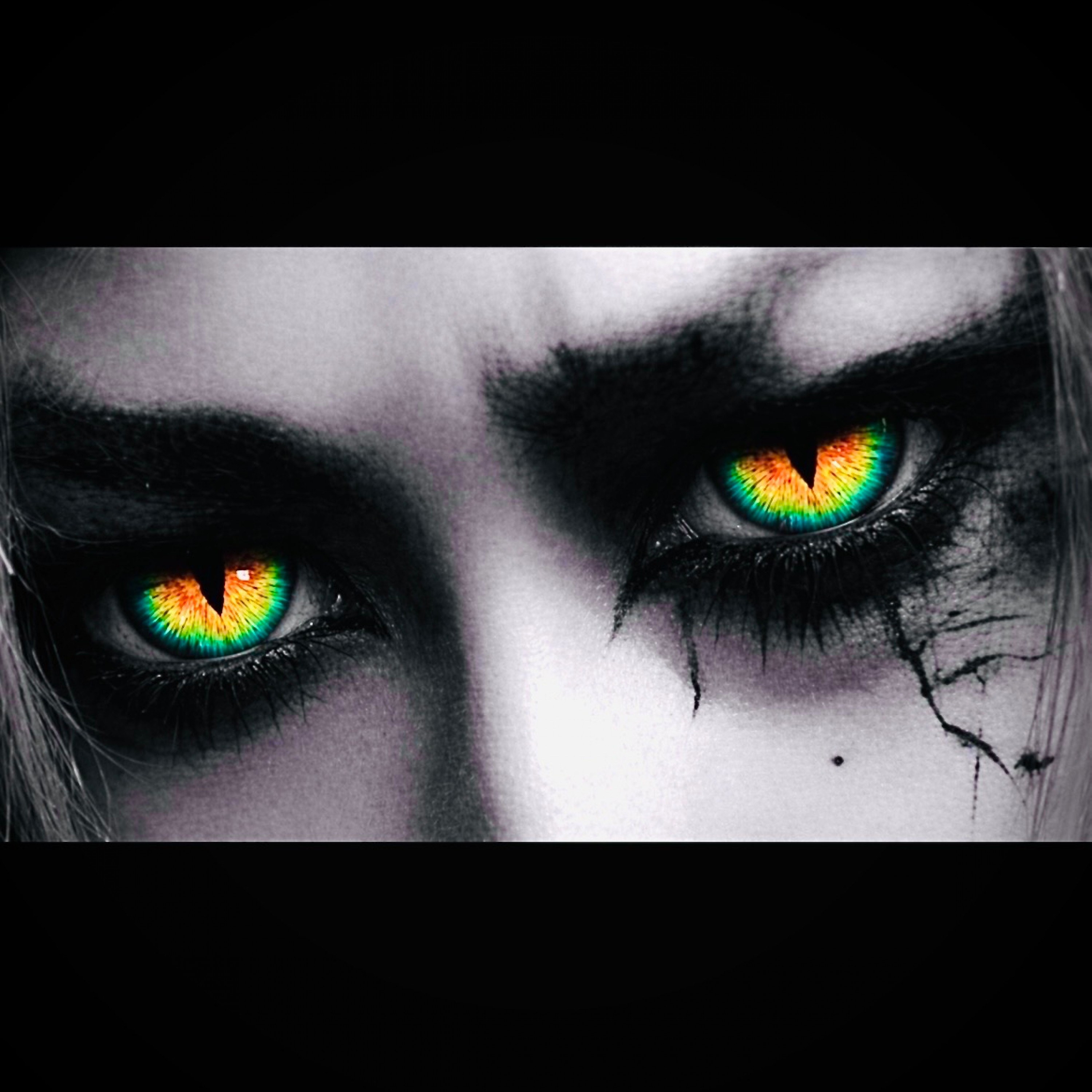 ジャケット写真