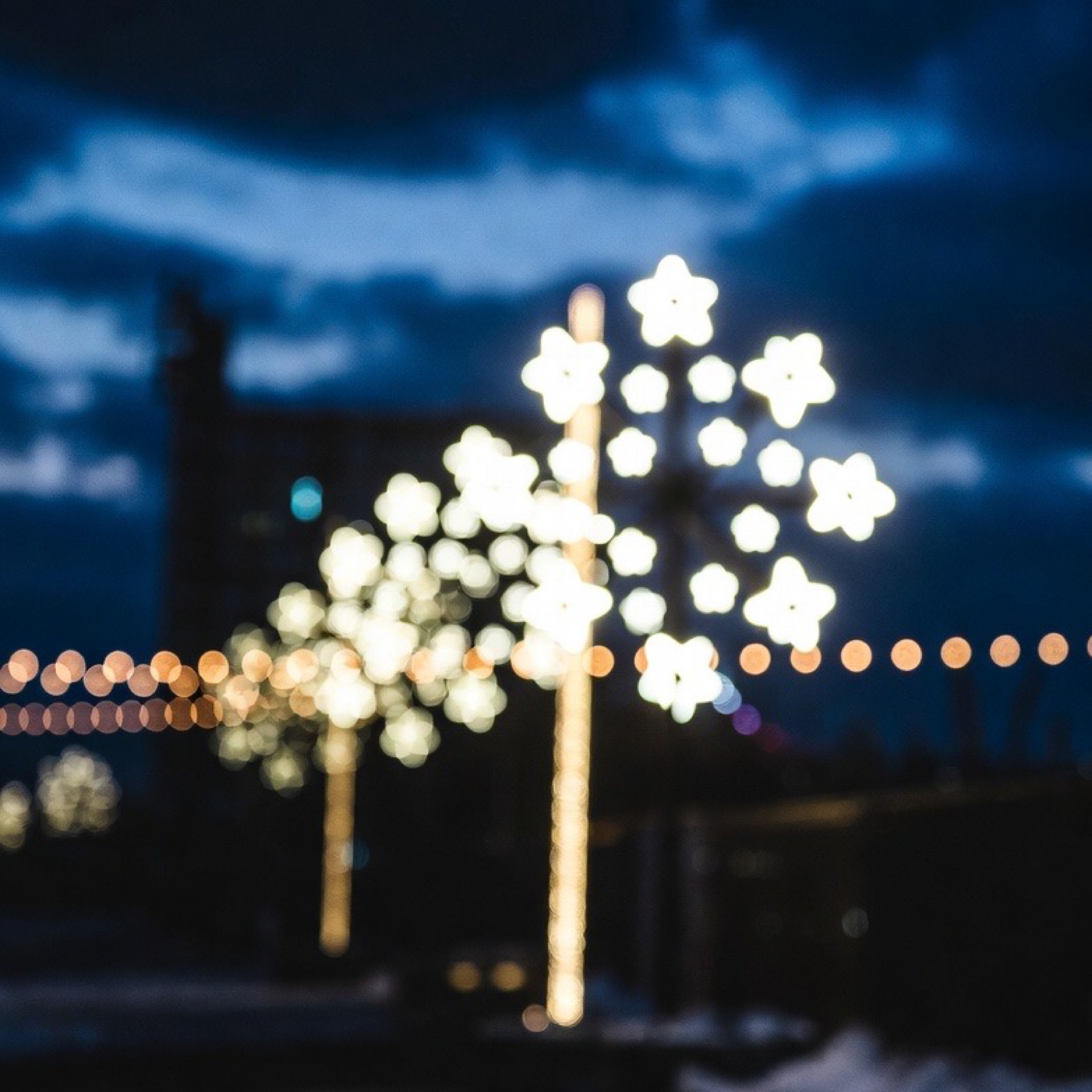 ジャケット写真