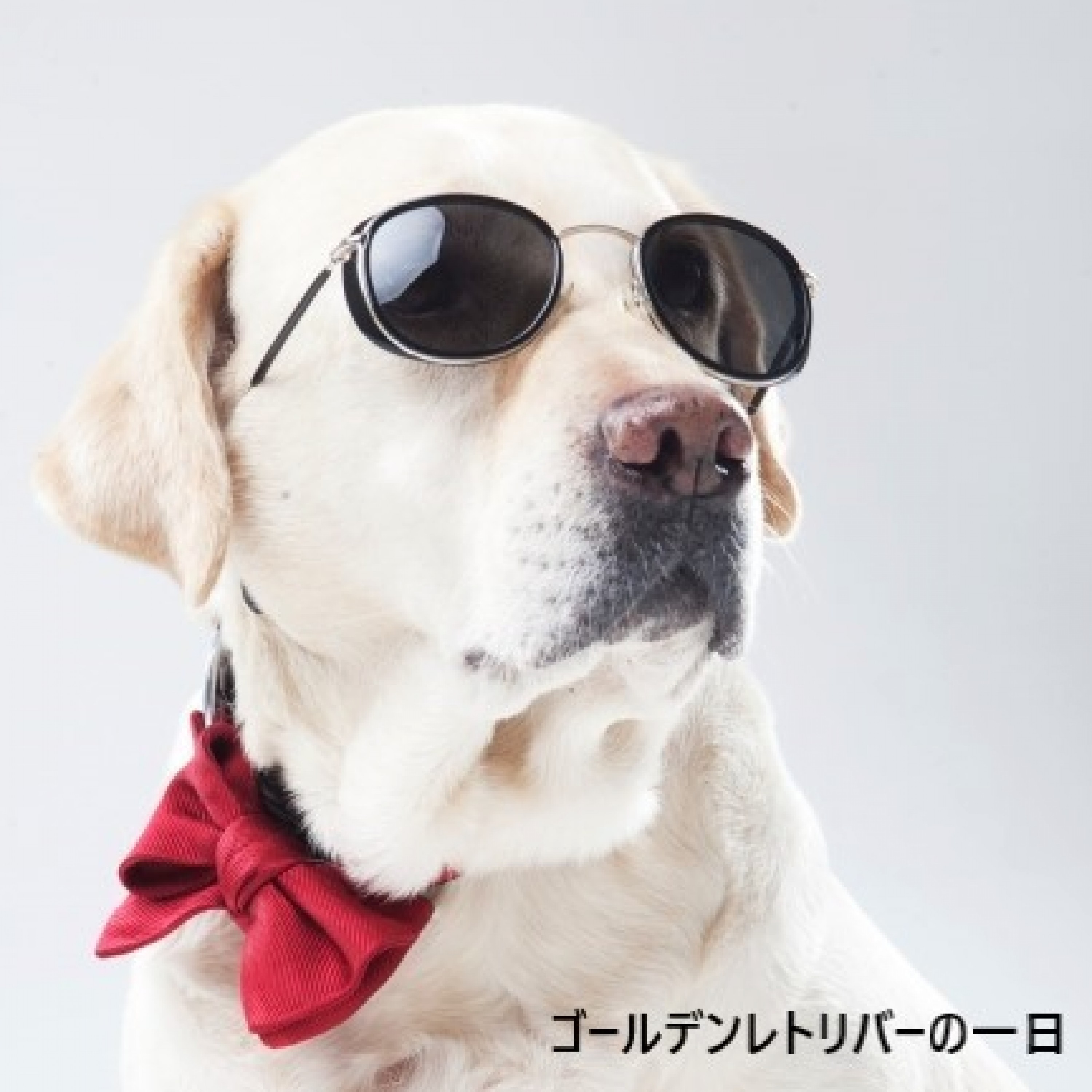 ジャケット写真