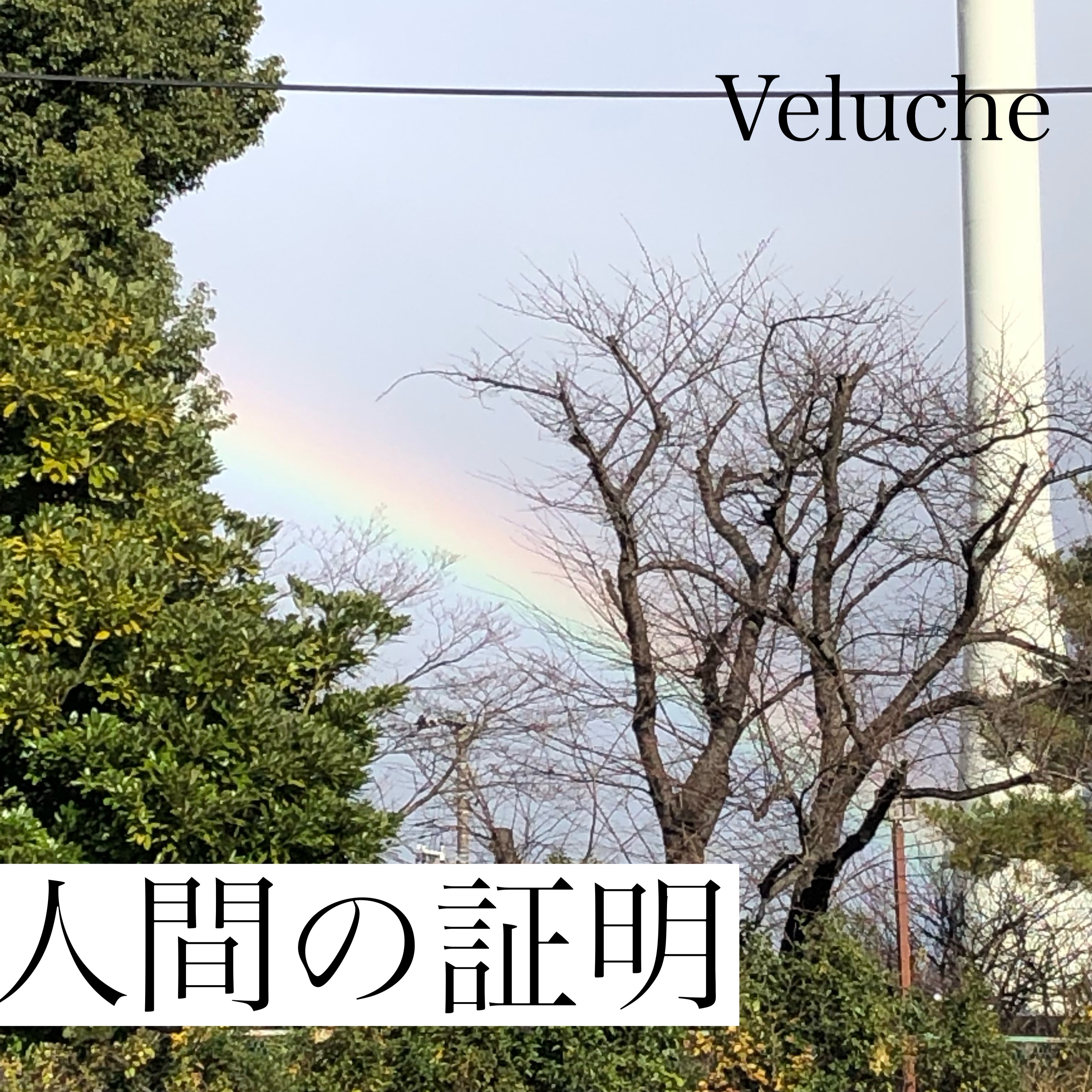 ジャケット写真