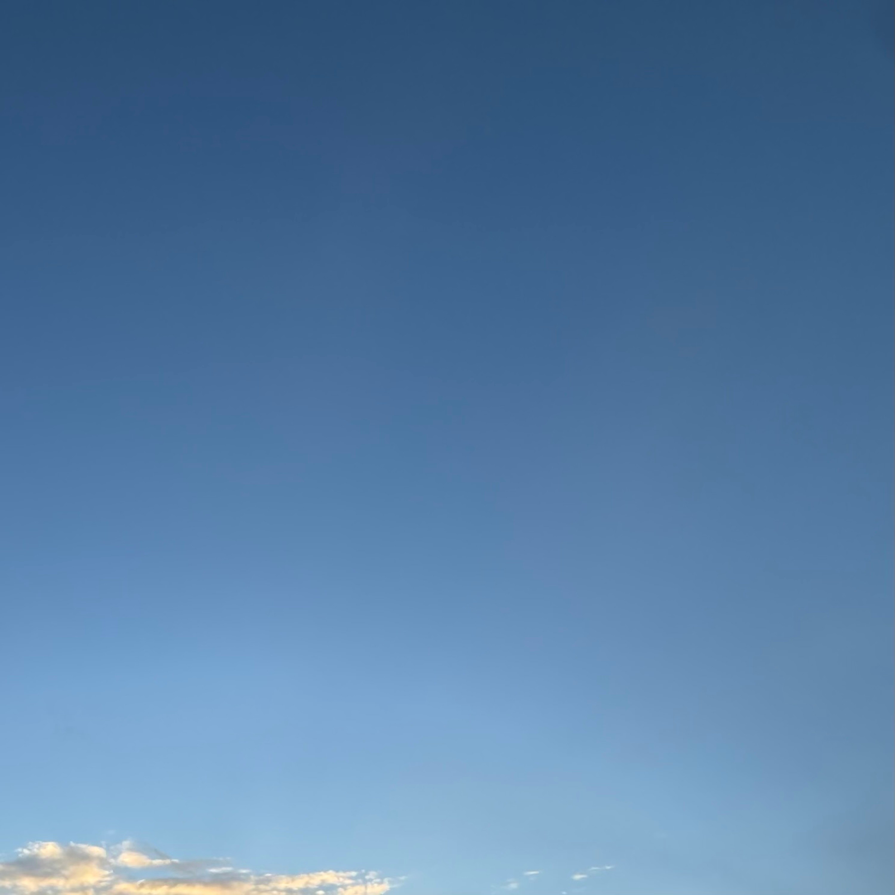 ジャケット写真