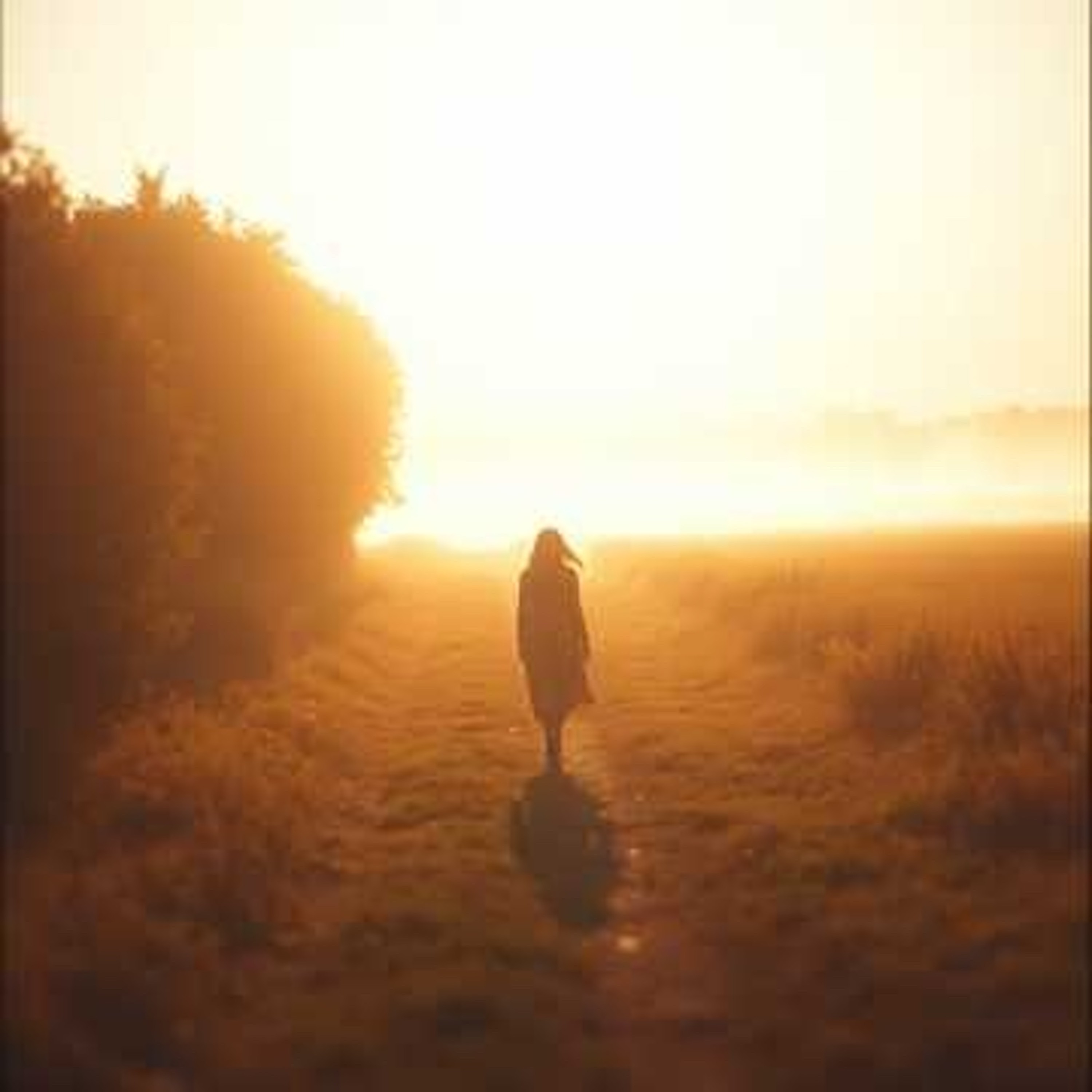 ジャケット写真