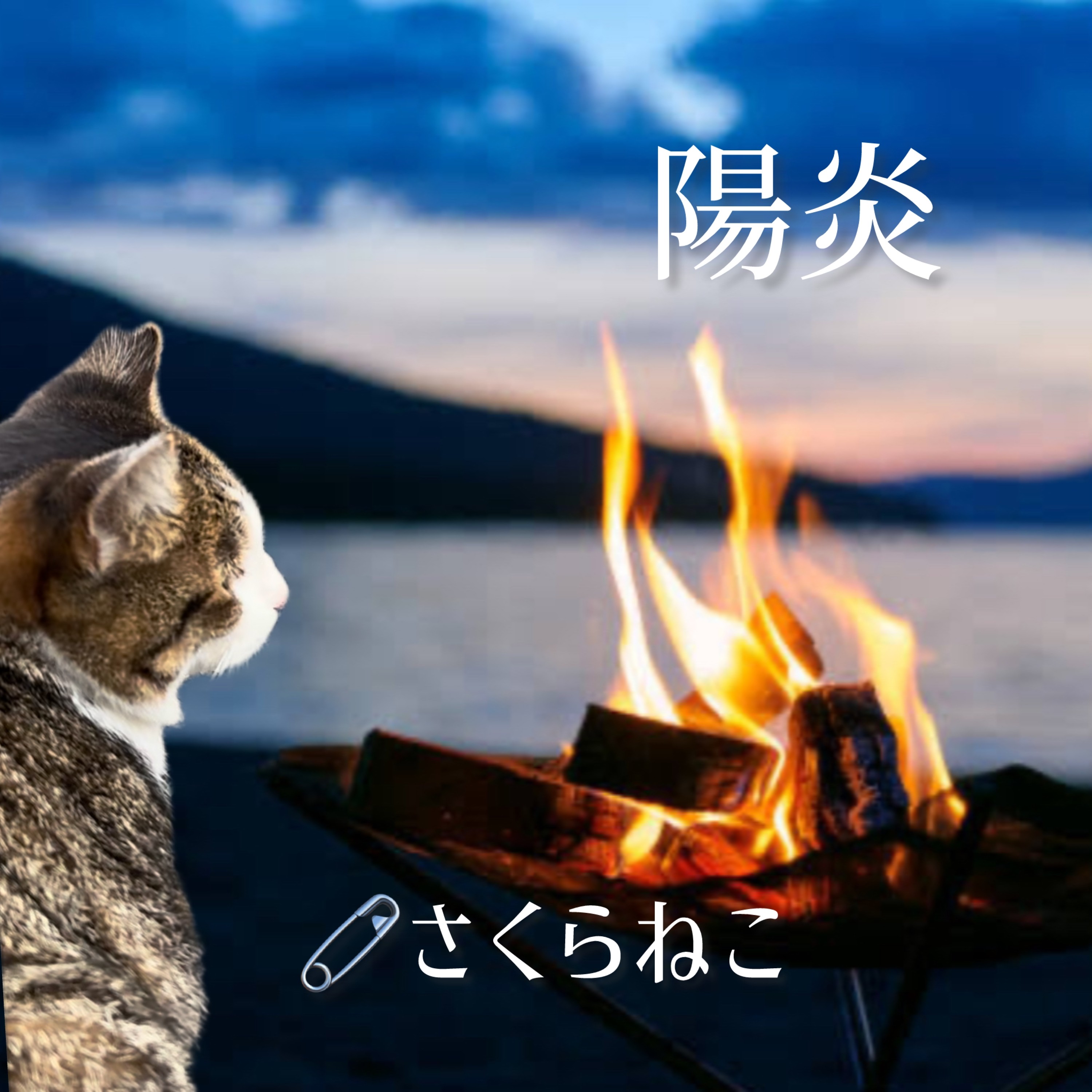 ジャケット写真