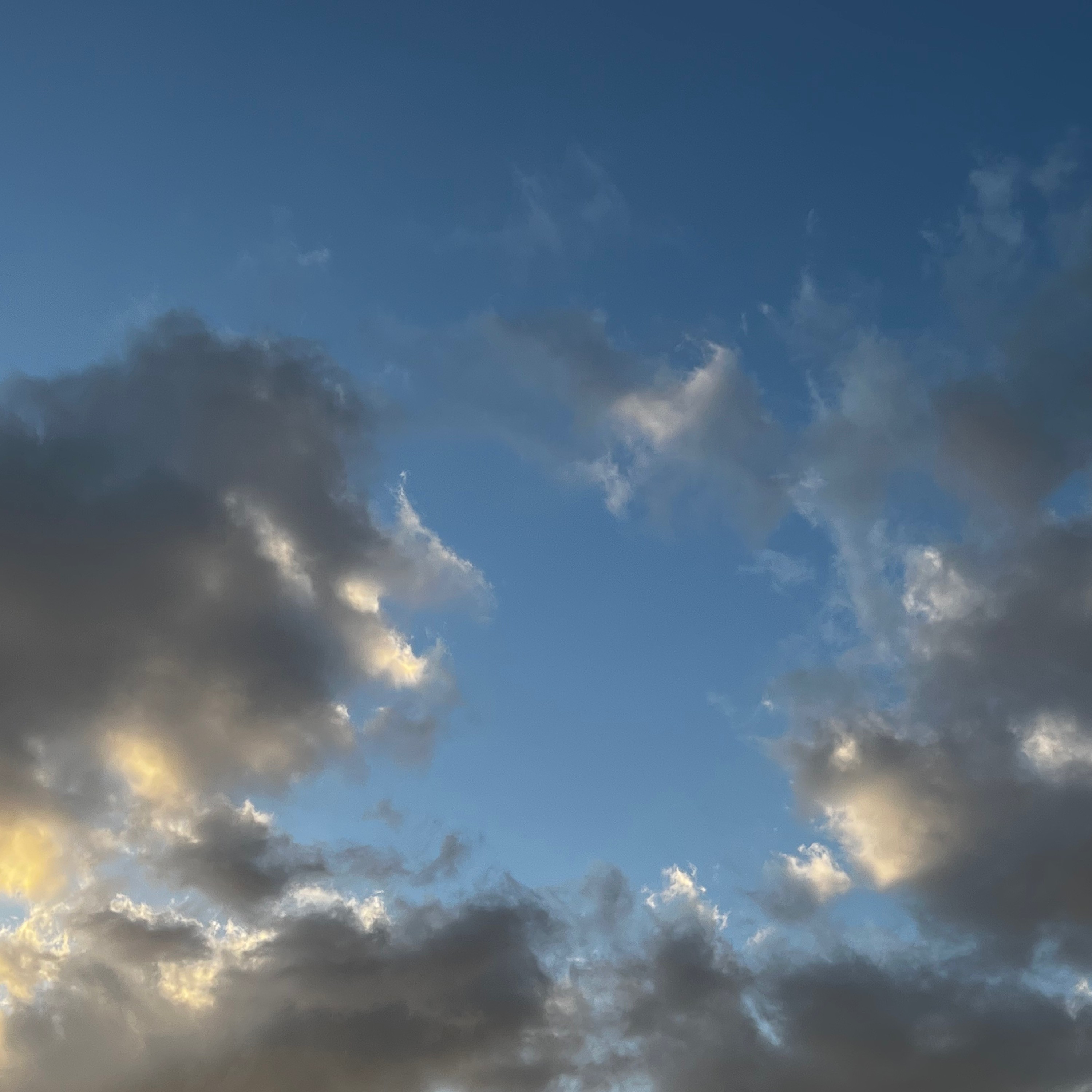 ジャケット写真