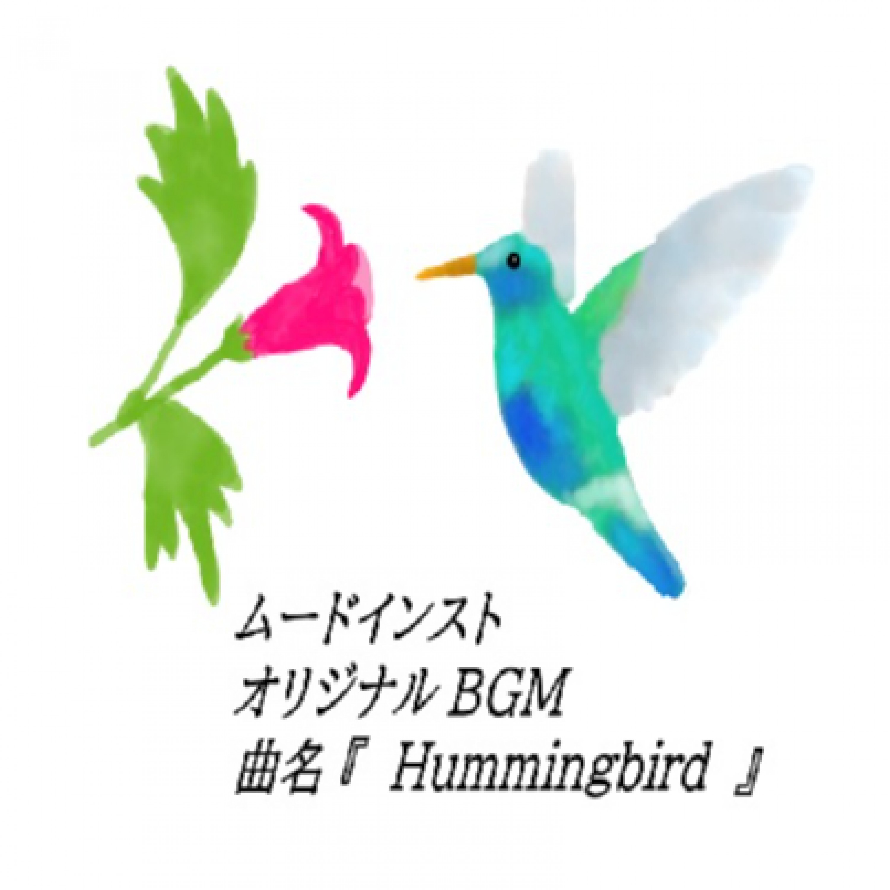 ジャケット写真