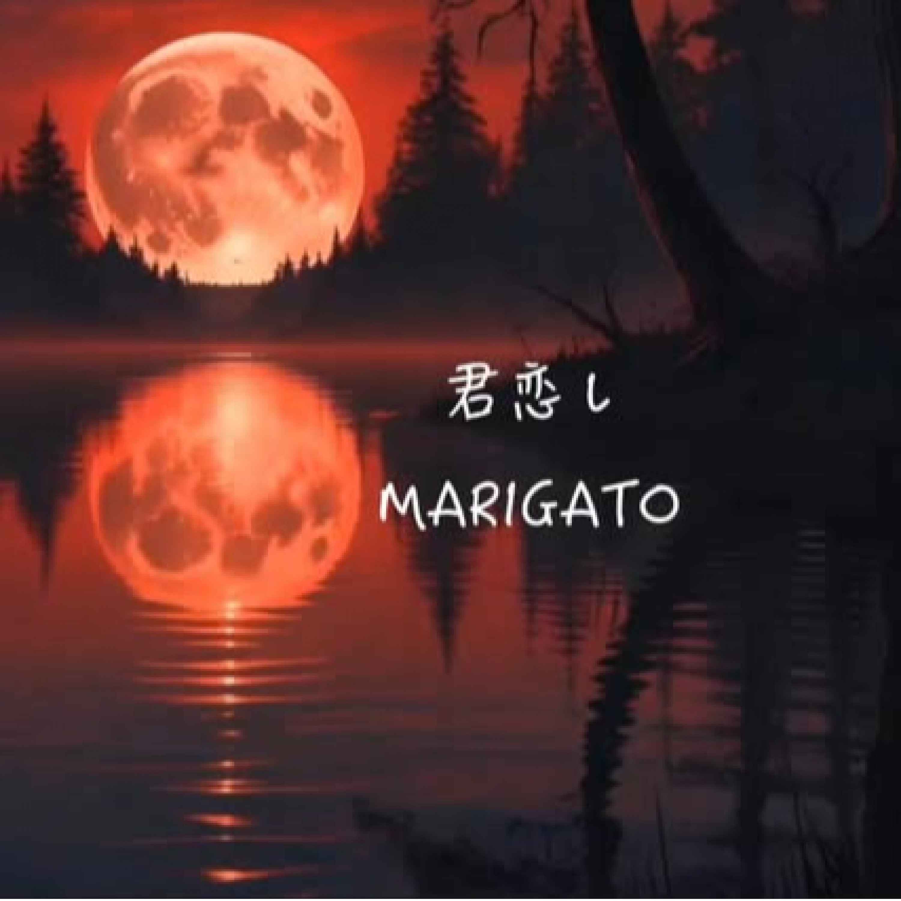 ジャケット写真