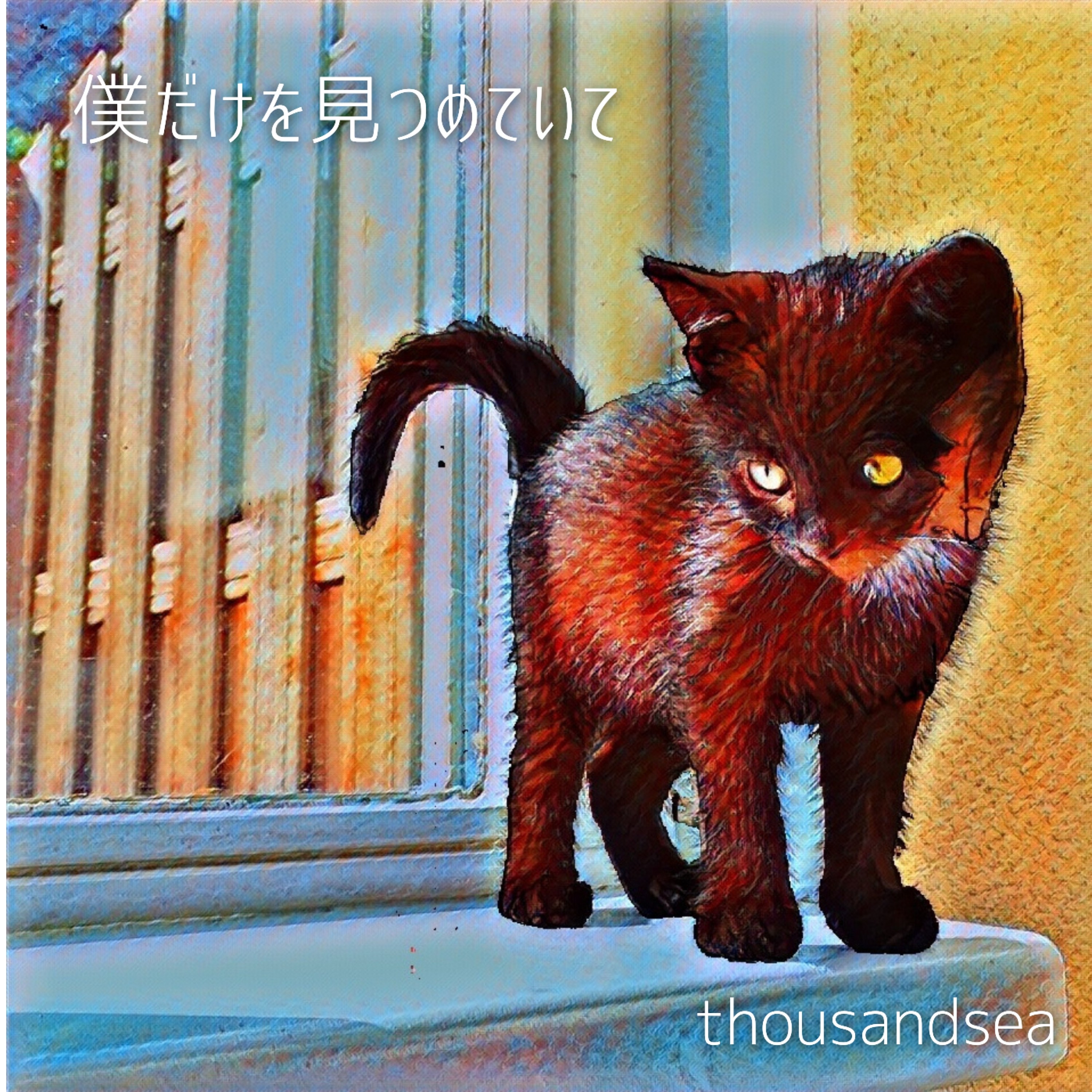 ジャケット写真