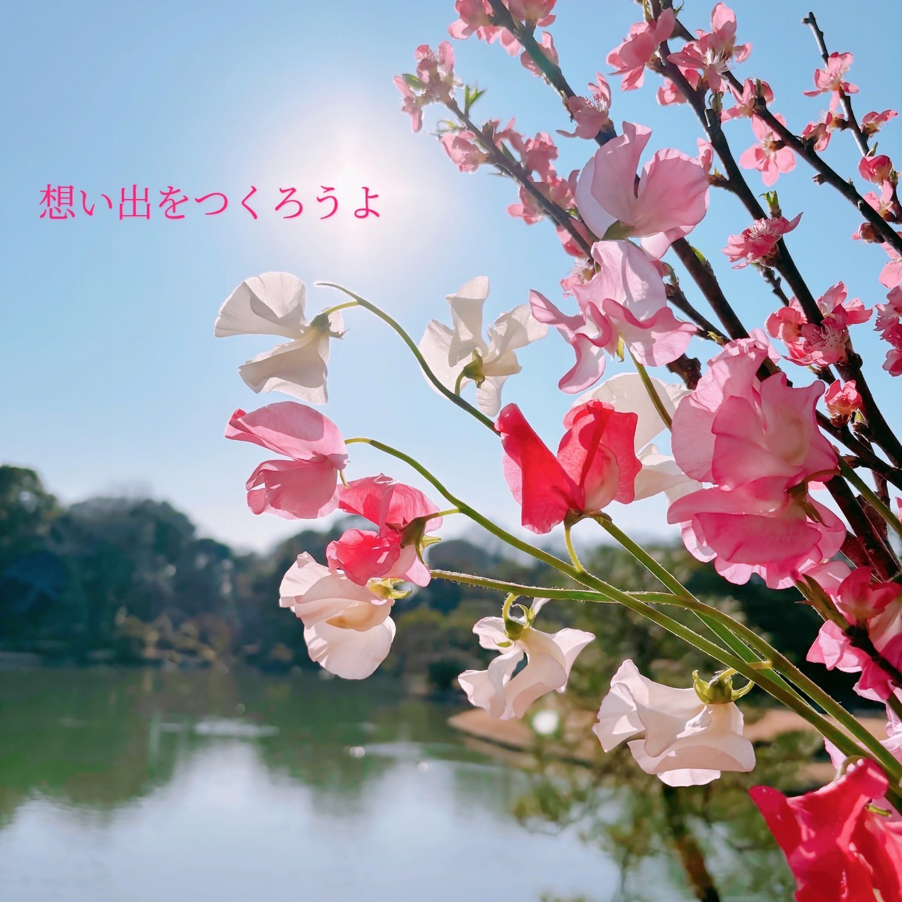 ジャケット写真