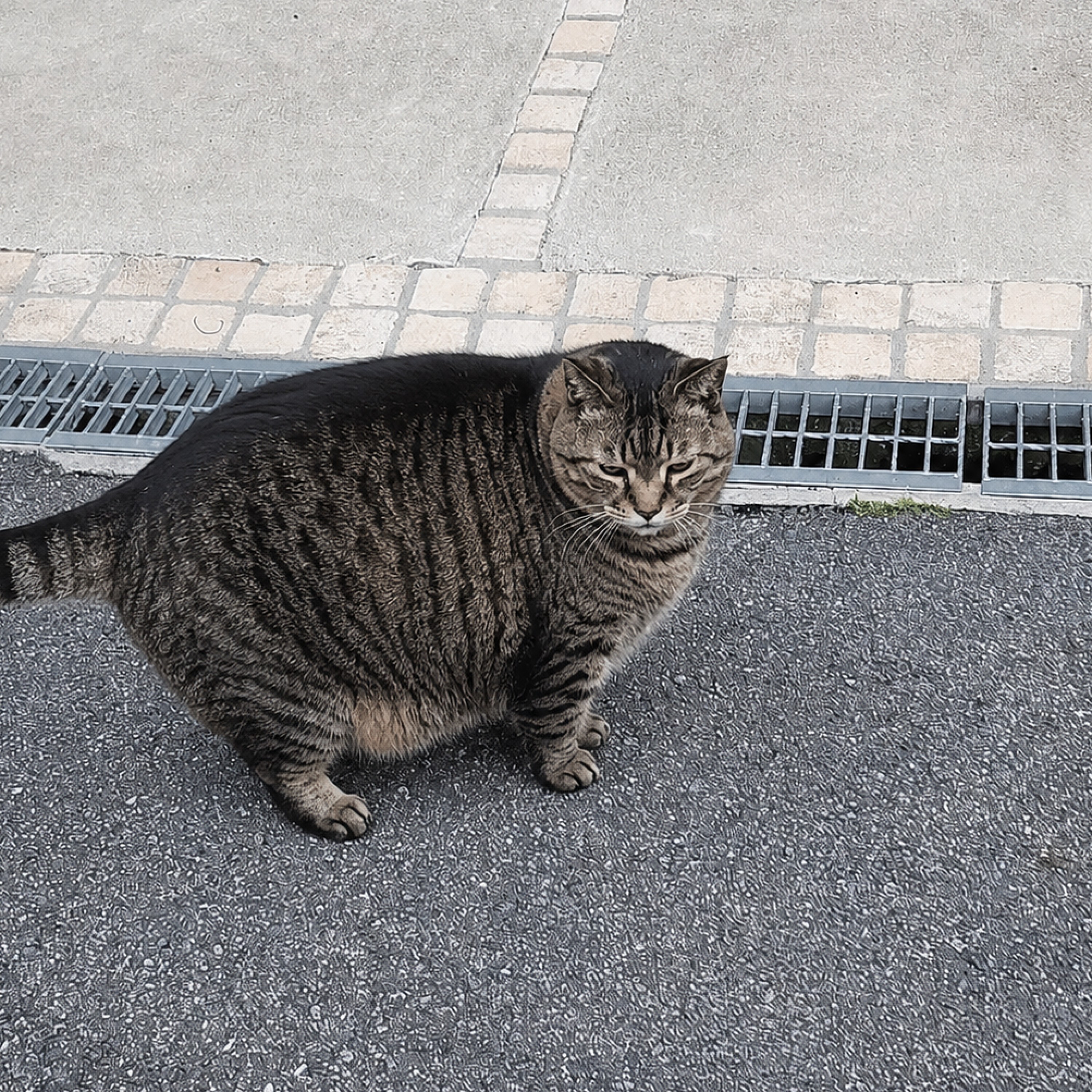 ジャケット写真