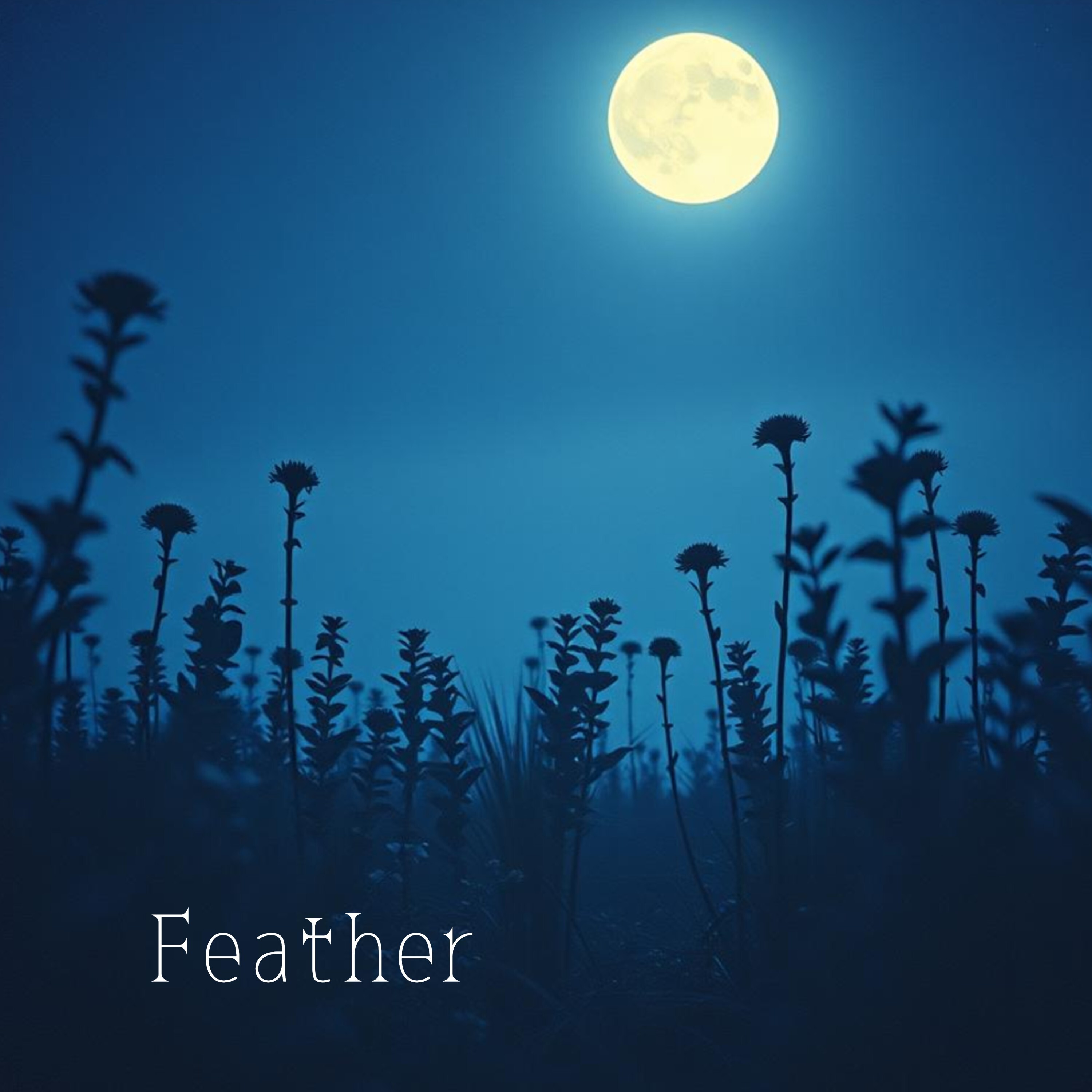 ジャケット写真