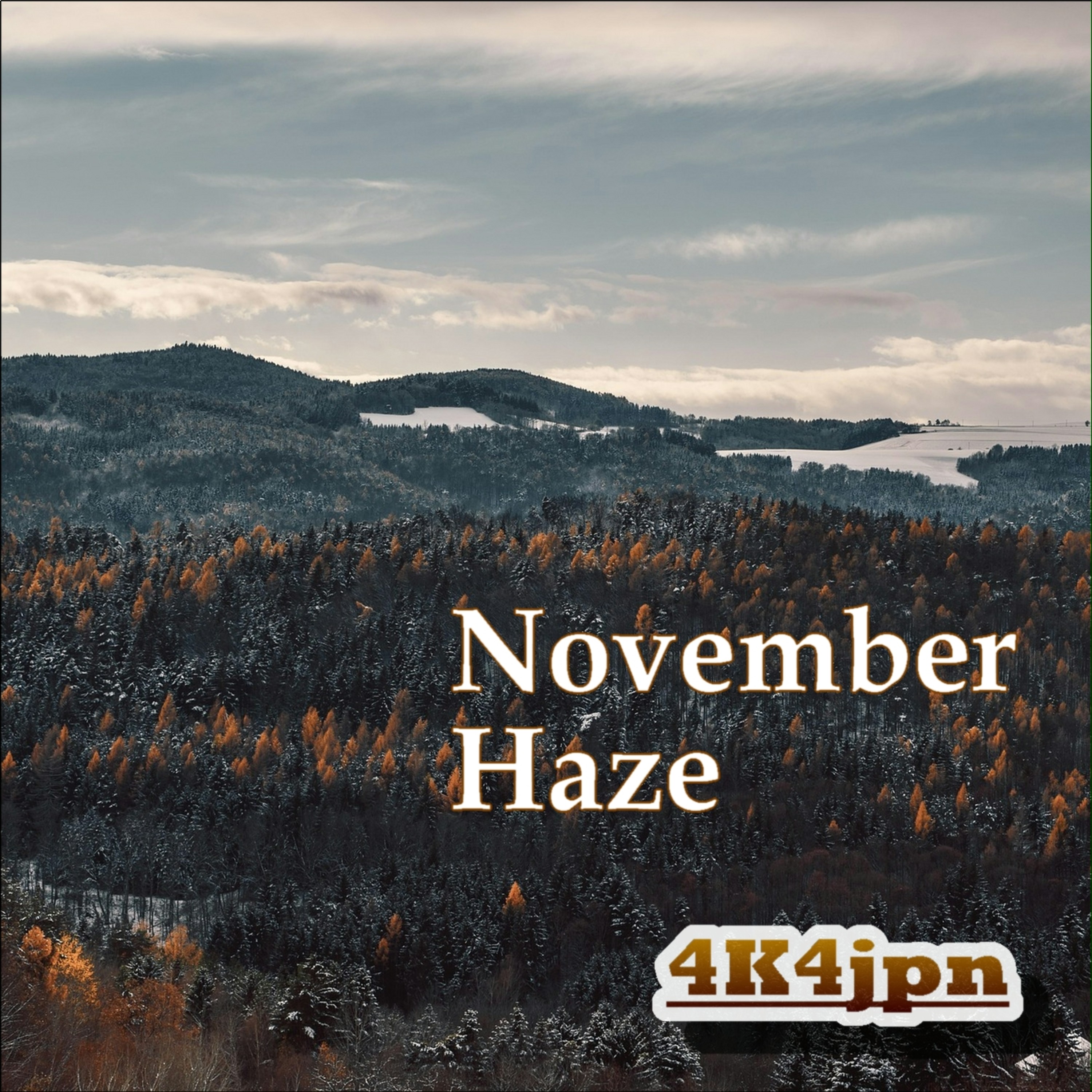 ジャケット写真