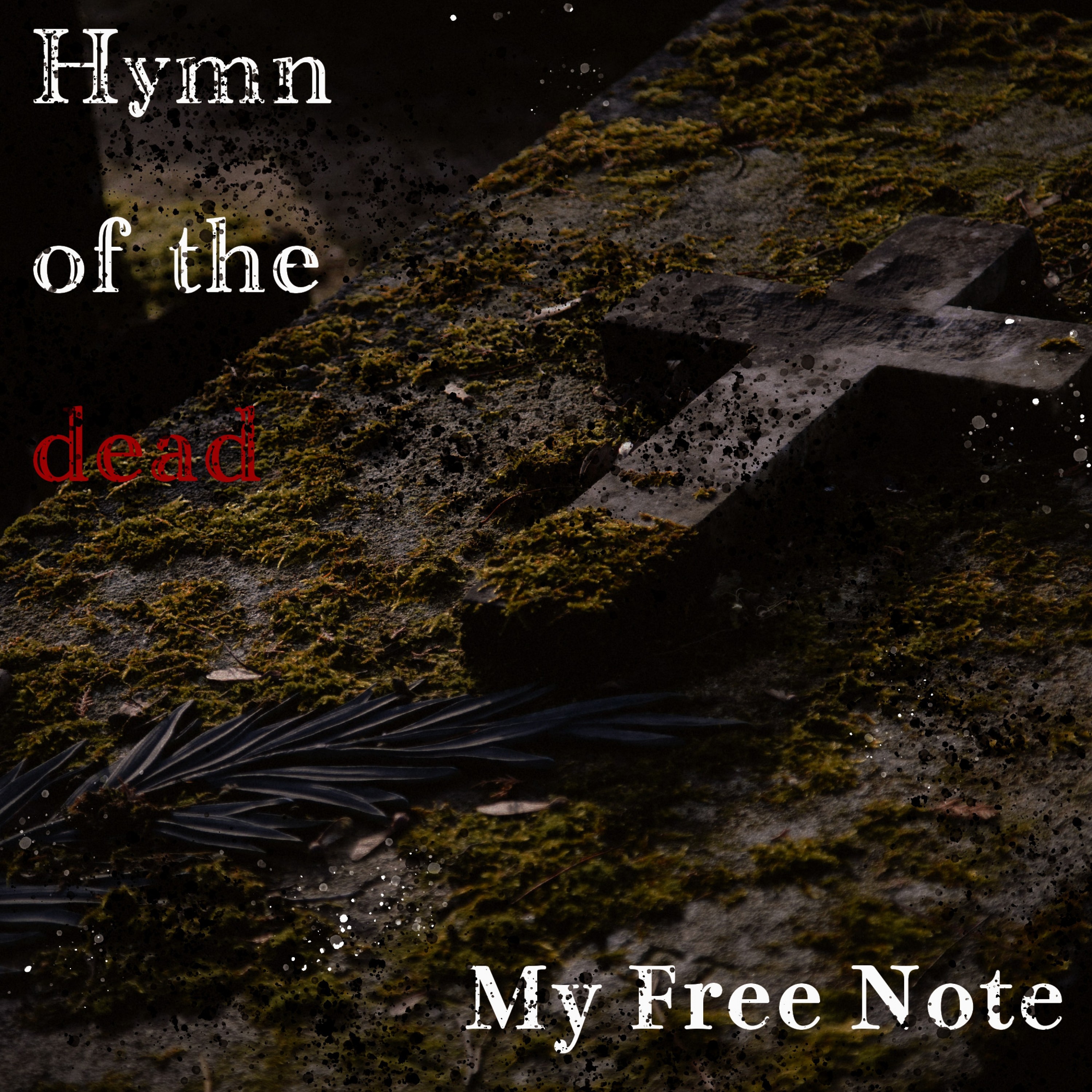 ジャケット写真