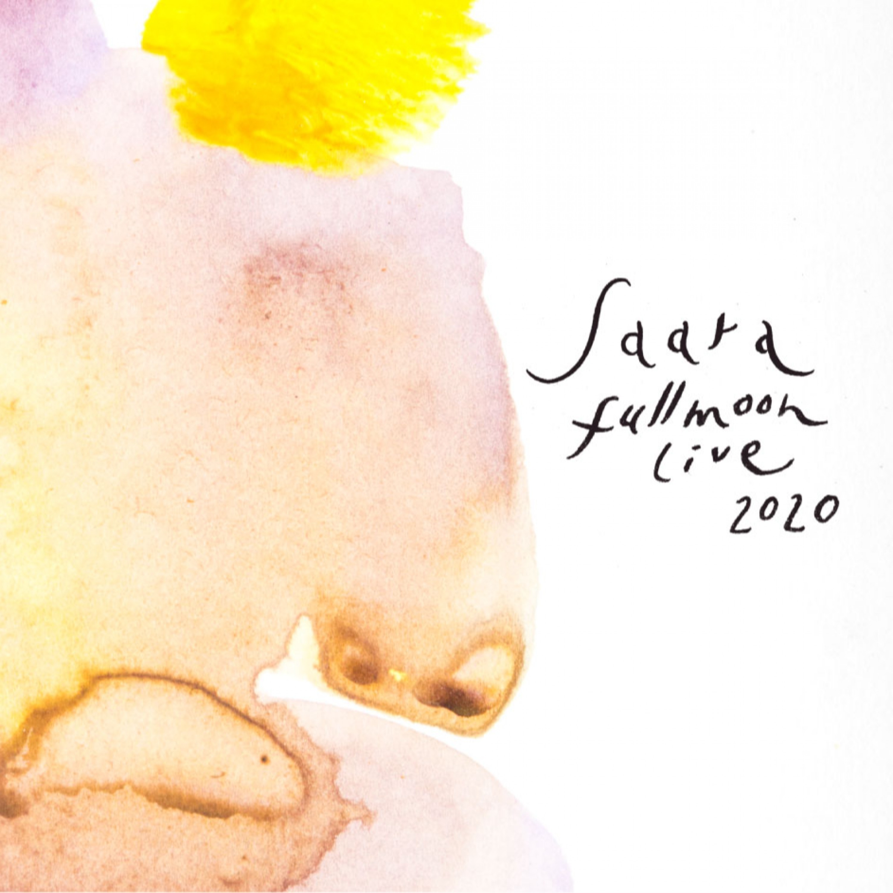 ジャケット写真